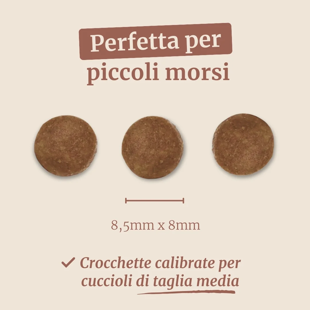 Crocchette con Pollo, Tacchino, Salmone, Patate Dolci e Carota per cani cuccioli di taglia media - Image 7