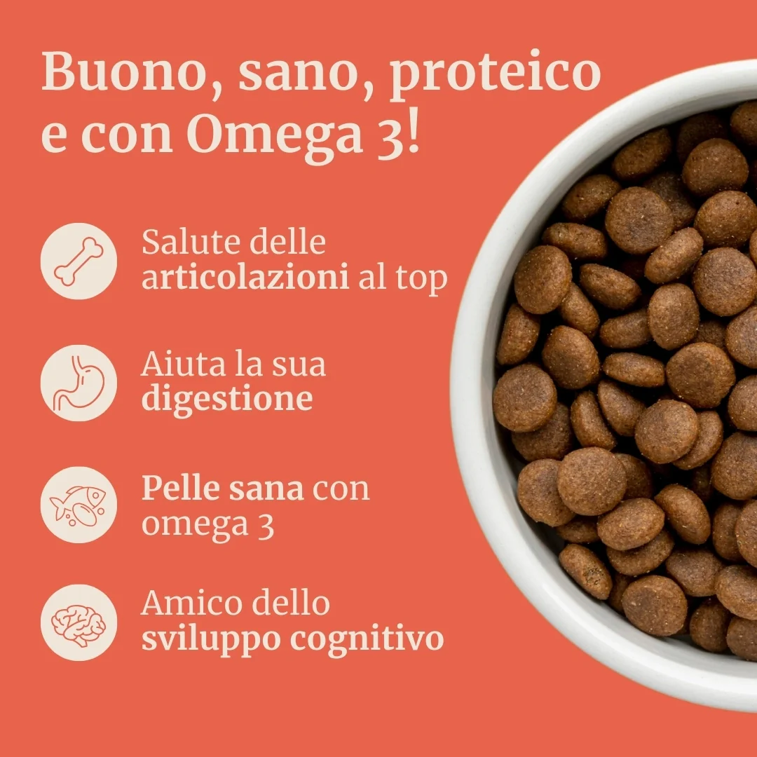 Crocchette con Salmone, Eglefino, Pesce Bianco, Patate Dolci e Asparagi per cani cuccioli di taglia media - Image 2