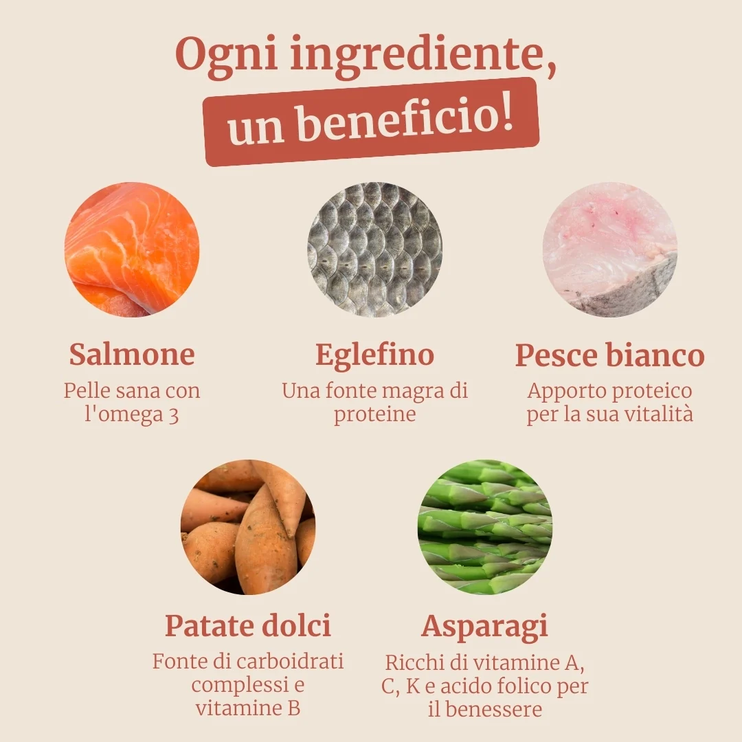 Crocchette con Salmone, Eglefino, Pesce Bianco, Patate Dolci e Asparagi per cani cuccioli di taglia media - Image 3