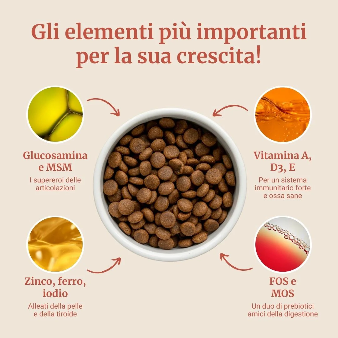 Crocchette con Salmone, Eglefino, Pesce Bianco, Patate Dolci e Asparagi per cani cuccioli di taglia media - Image 4