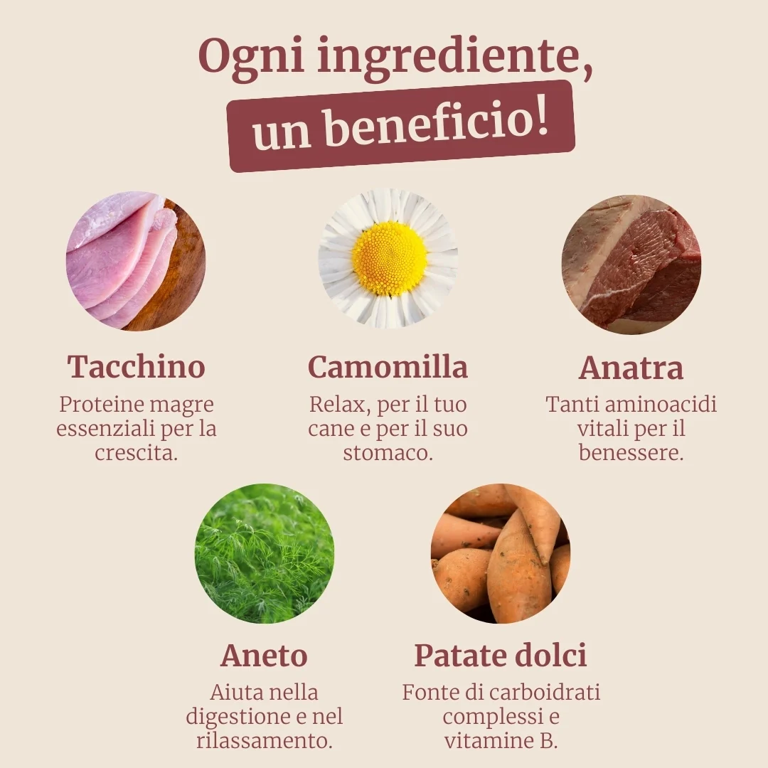 Crocchette con Tacchino, Anatra, Patate Dolci, Aneto e Camomilla per cani cuccioli di taglia piccola - Image 3