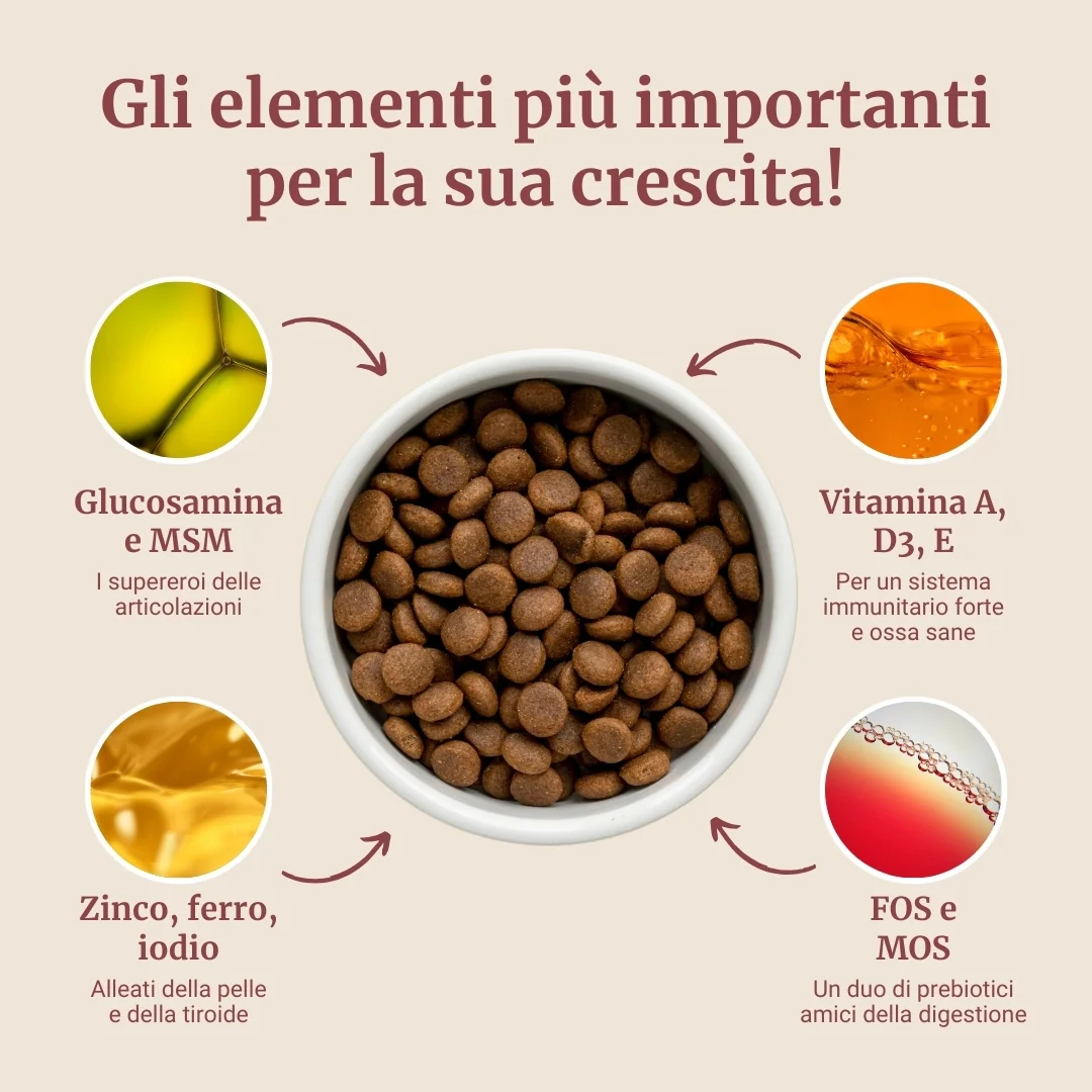 Crocchette con Tacchino, Anatra, Patate Dolci, Aneto e Camomilla per cani cuccioli di taglia piccola - Image 4