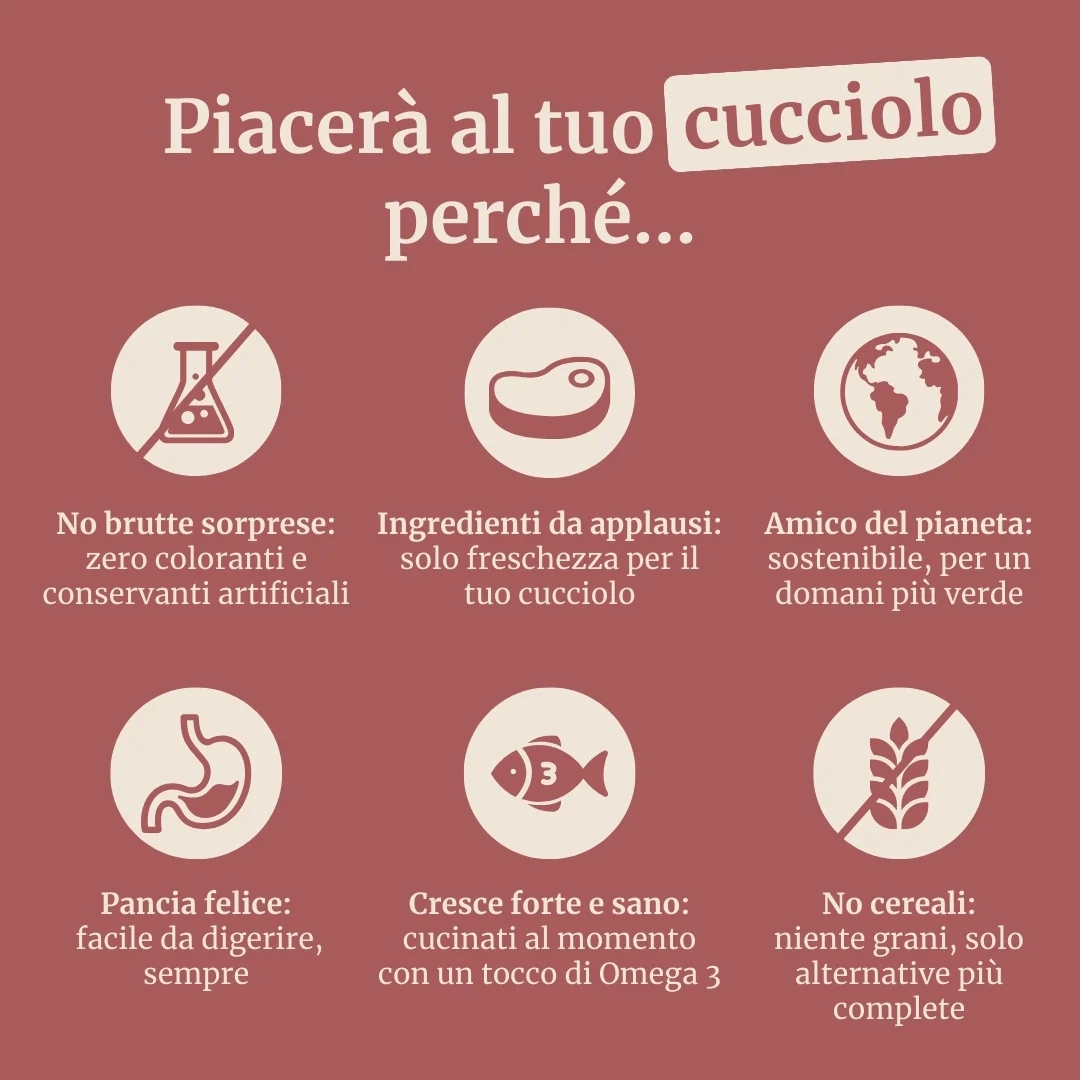 Crocchette con Tacchino, Anatra, Patate Dolci, Aneto e Camomilla per cani cuccioli di taglia piccola - Image 6