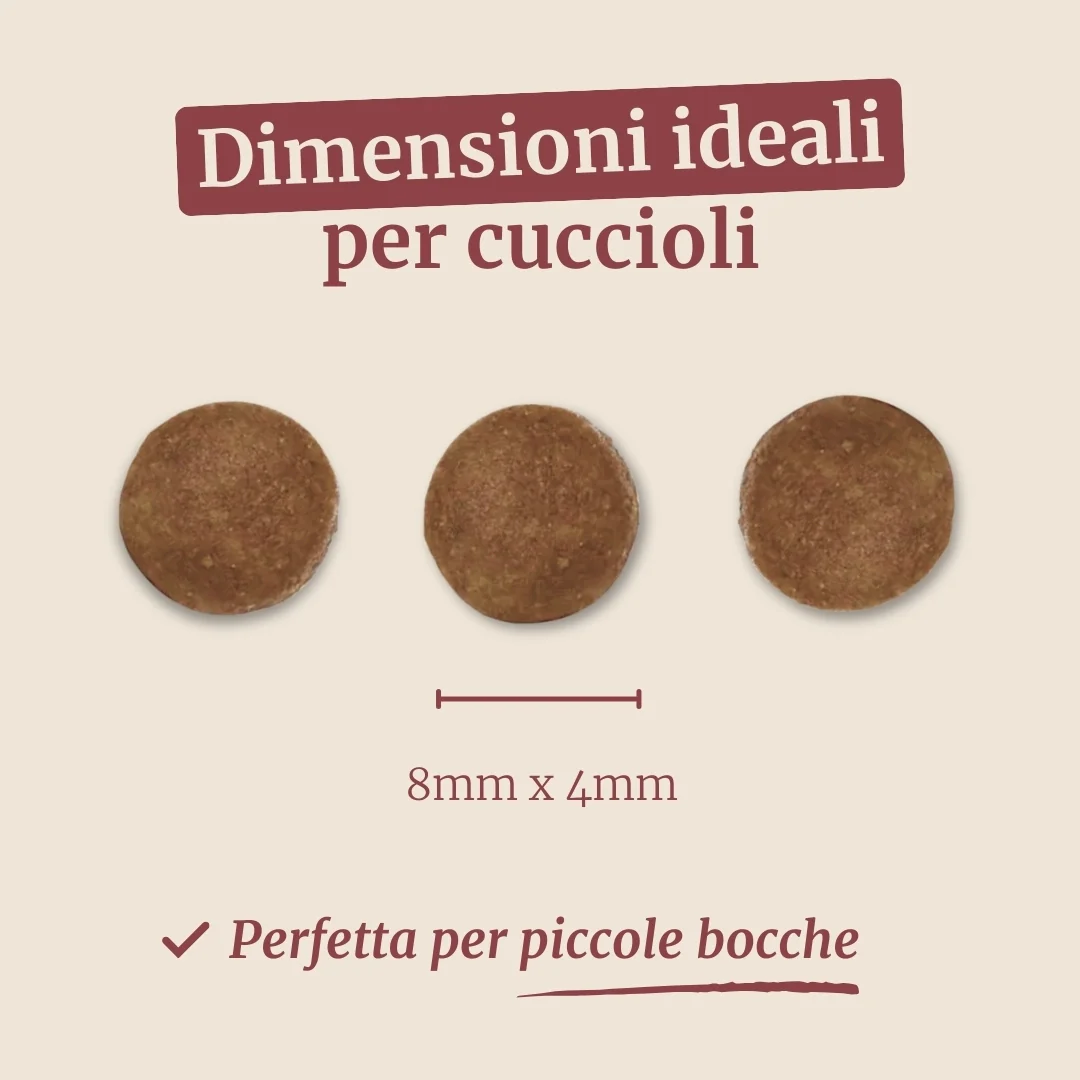 Crocchette con Tacchino, Anatra, Patate Dolci, Aneto e Camomilla per cani cuccioli di taglia piccola - Image 7