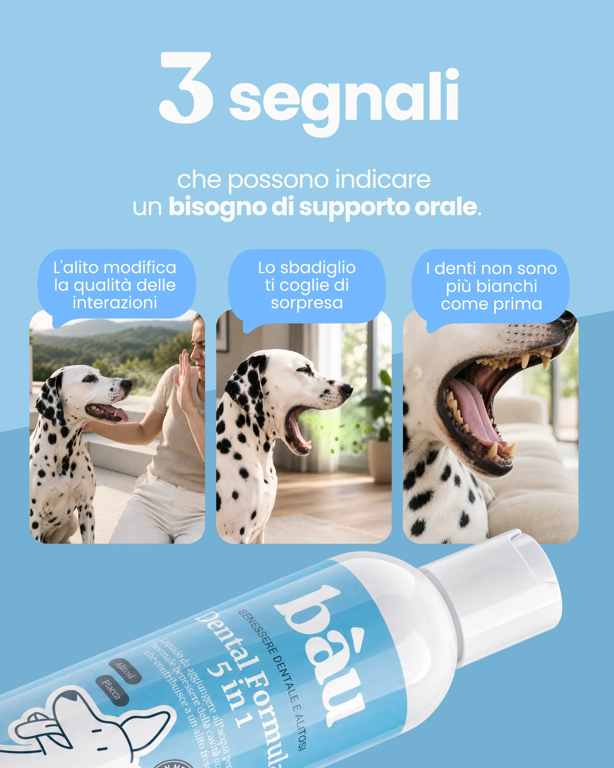 Dental Formula 5 in 1 - Image 3