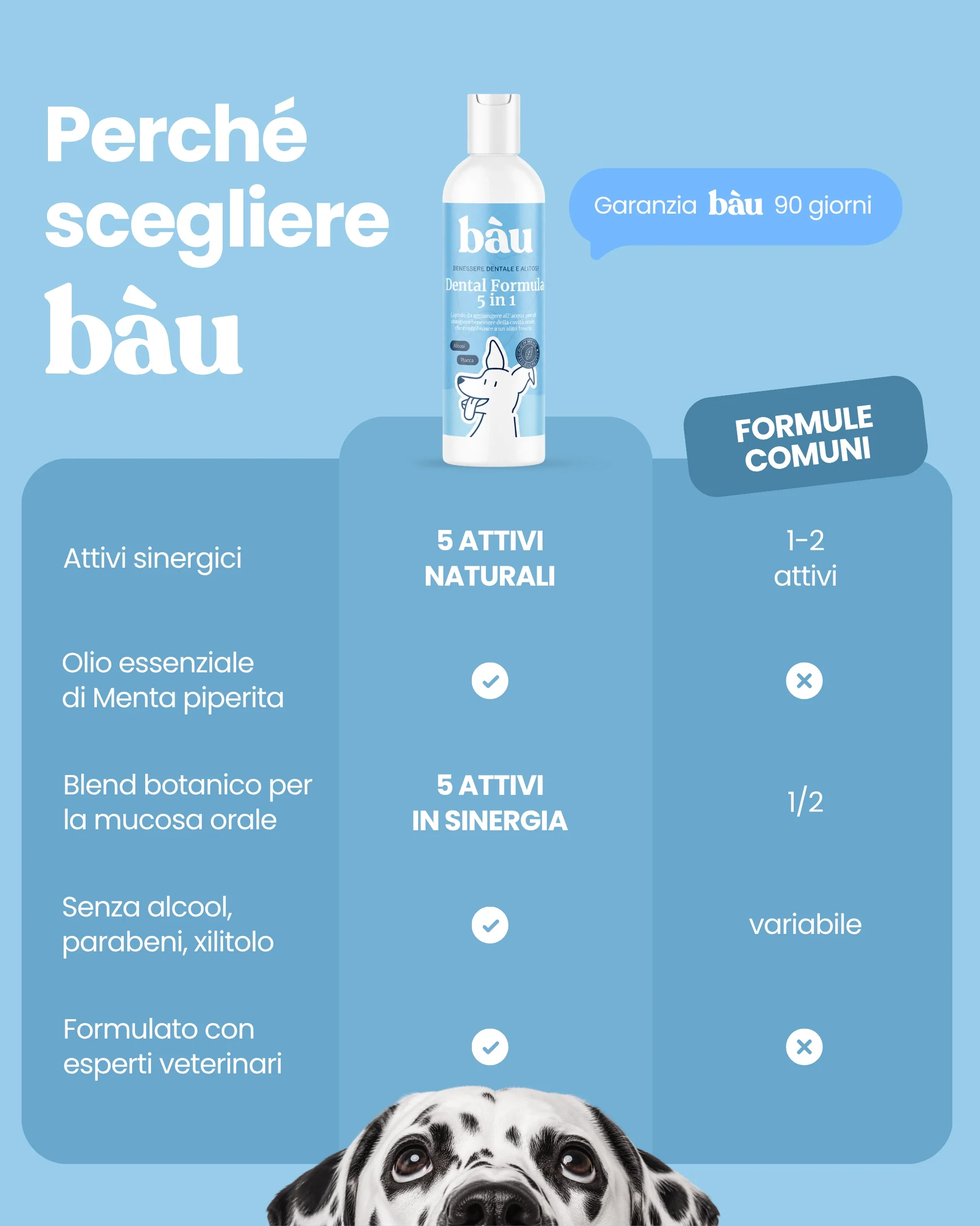 Dental Formula 5 in 1 - Image 9