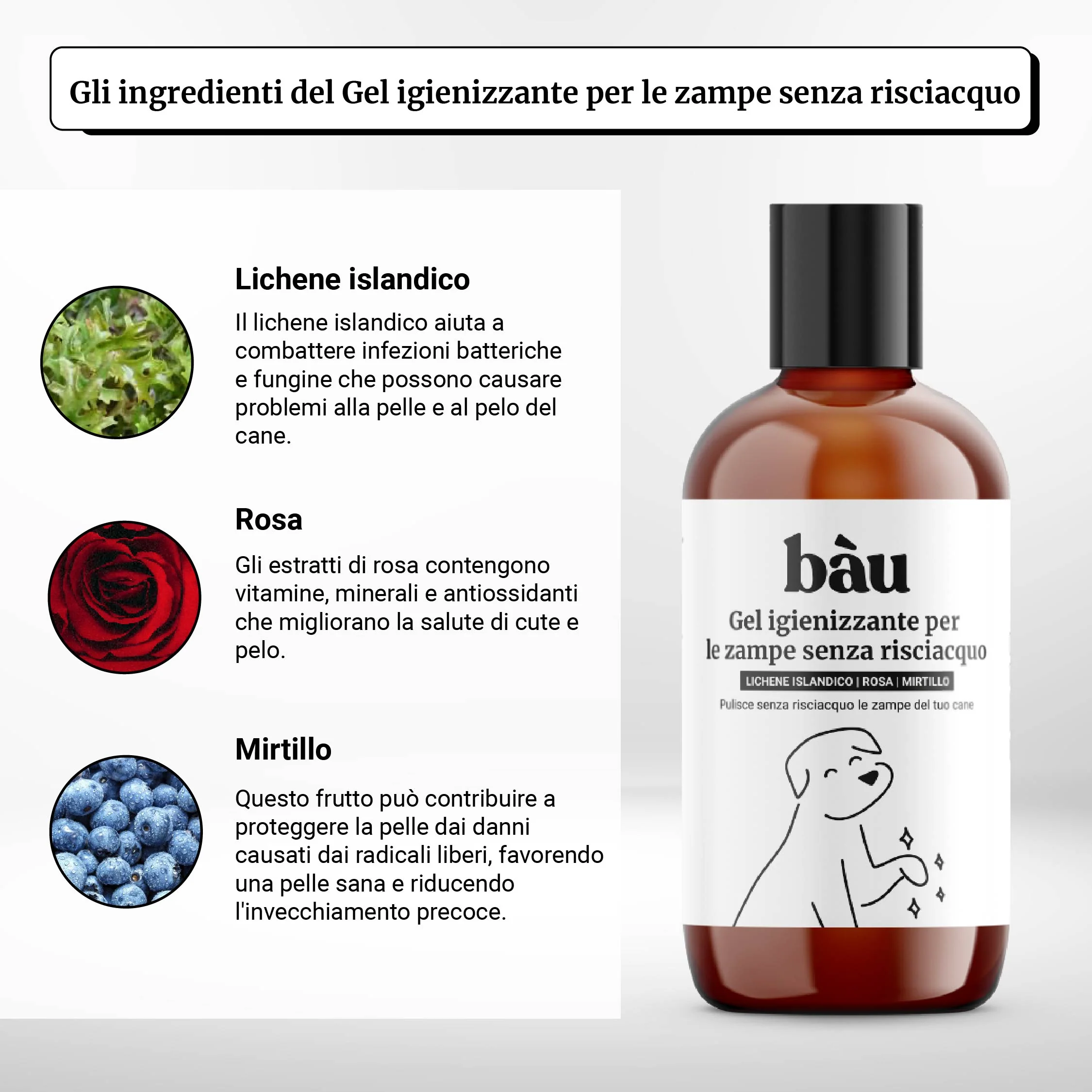 Gel igienizzante per le zampe senza risciacquo - Image 4