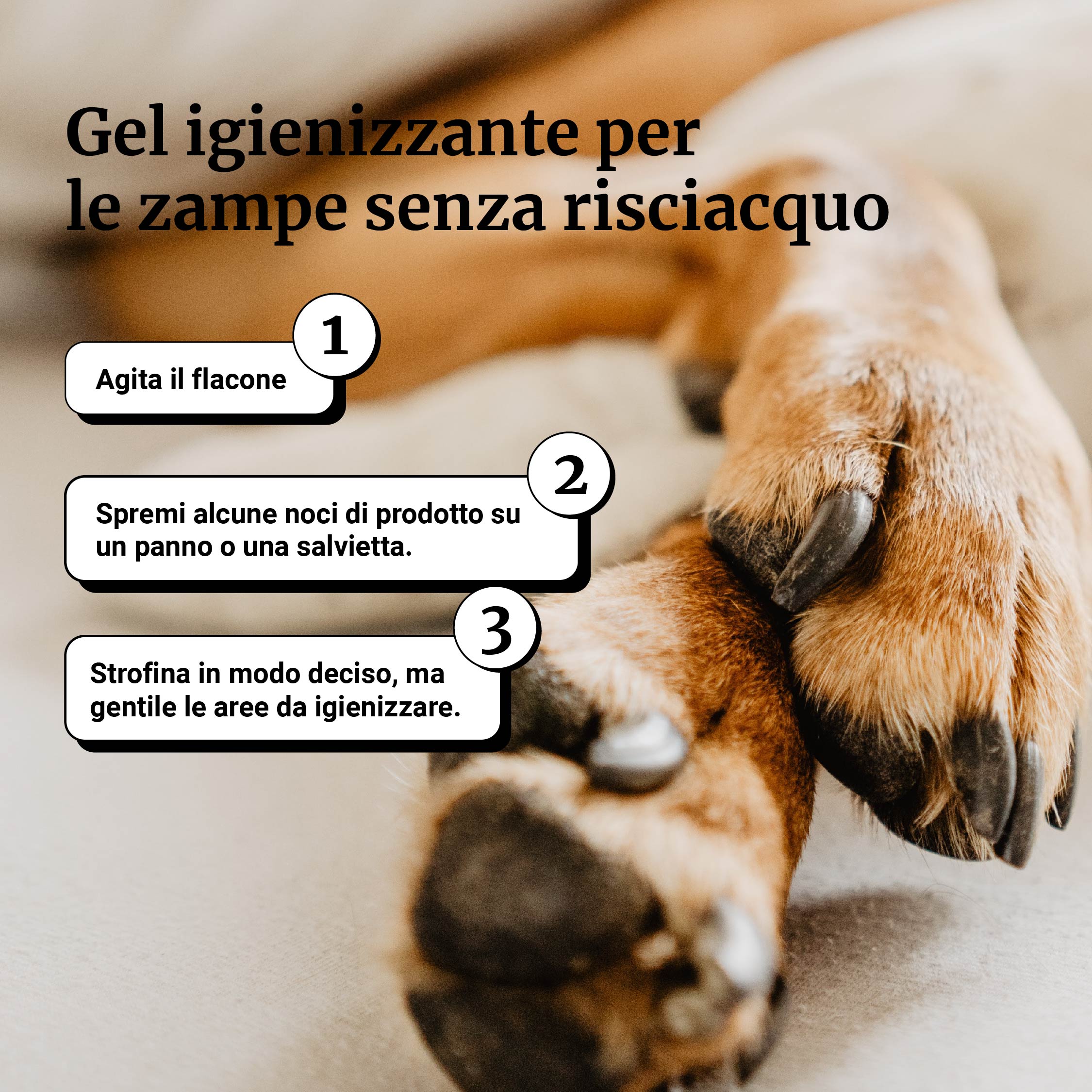 Gel igienizzante per le zampe senza risciacquo - Image 6