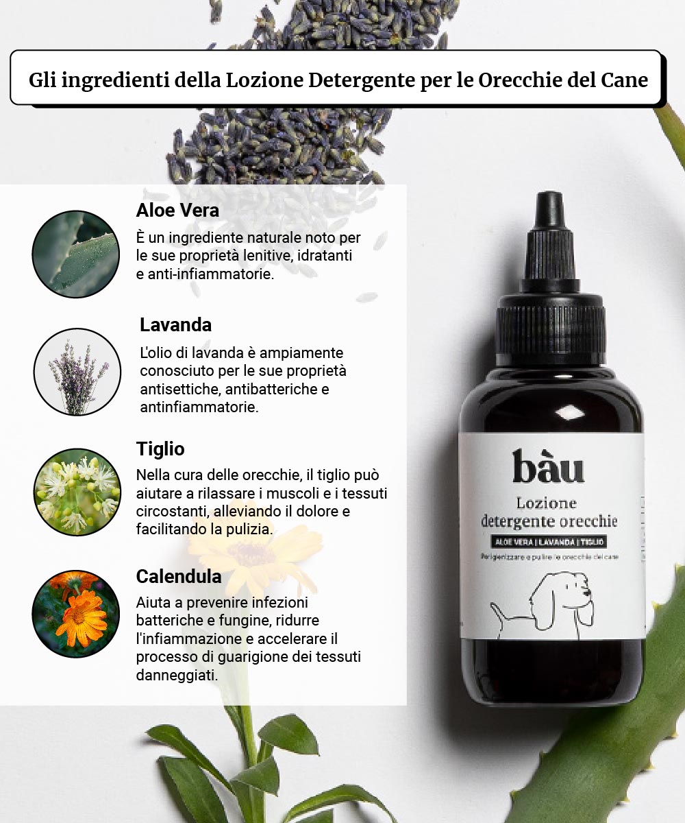 Lozione detergente per le orecchie - Image 4