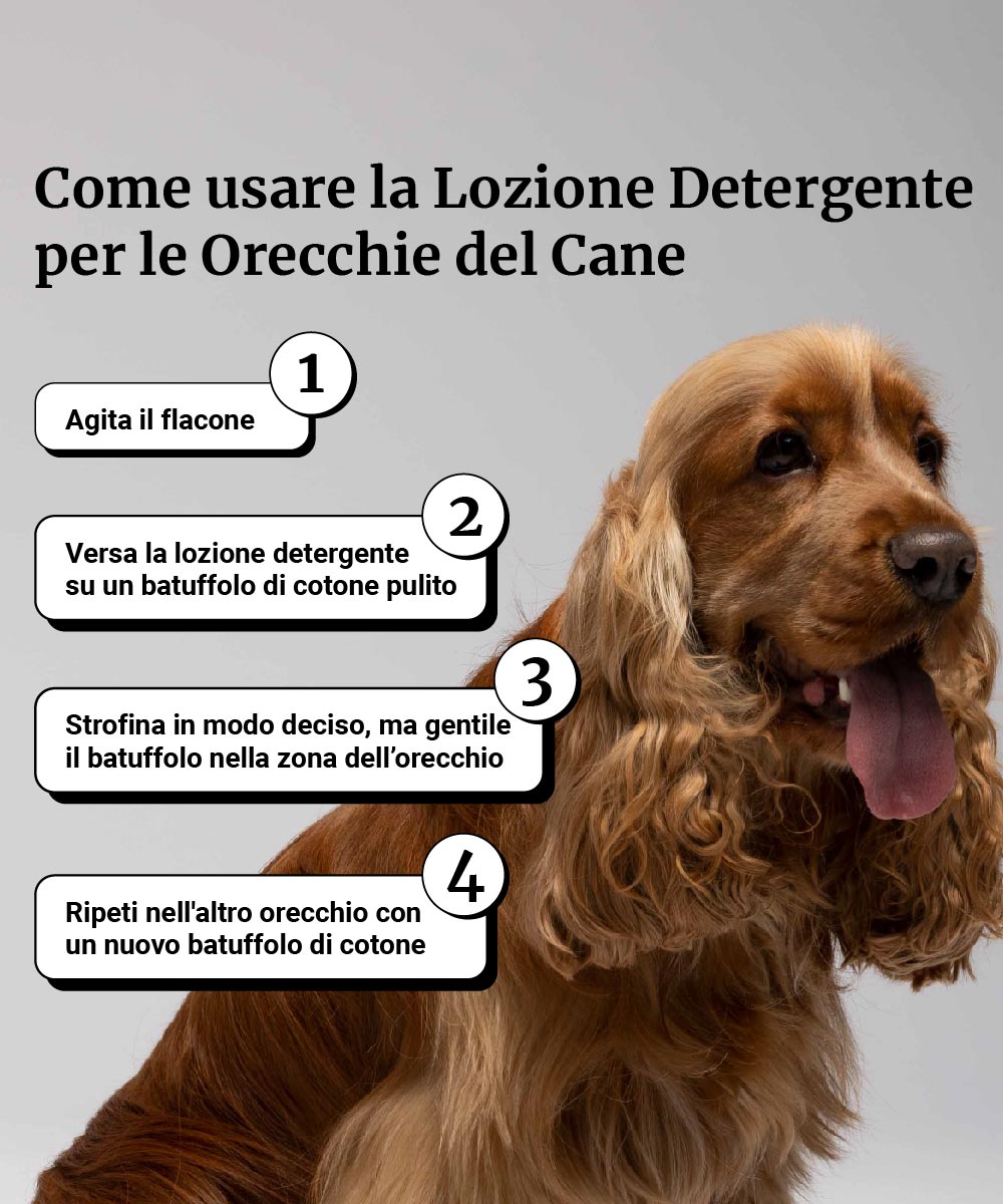 Lozione detergente per le orecchie - Image 6