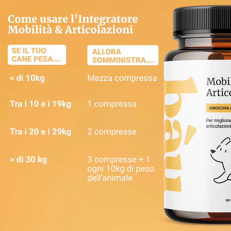 Mobilità & Articolazioni - Image 5