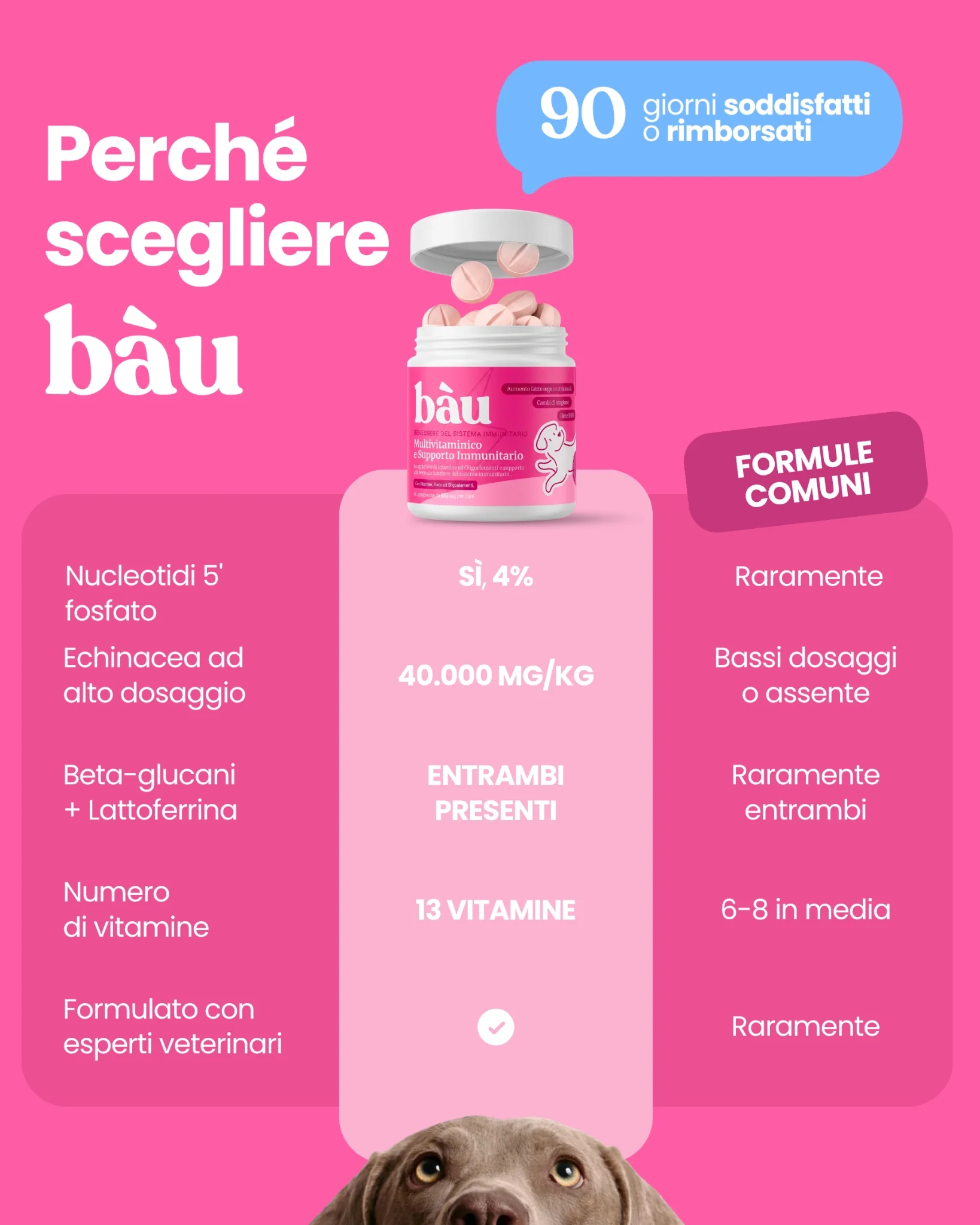 Multivitaminico e Supporto Immunitario - Image 10