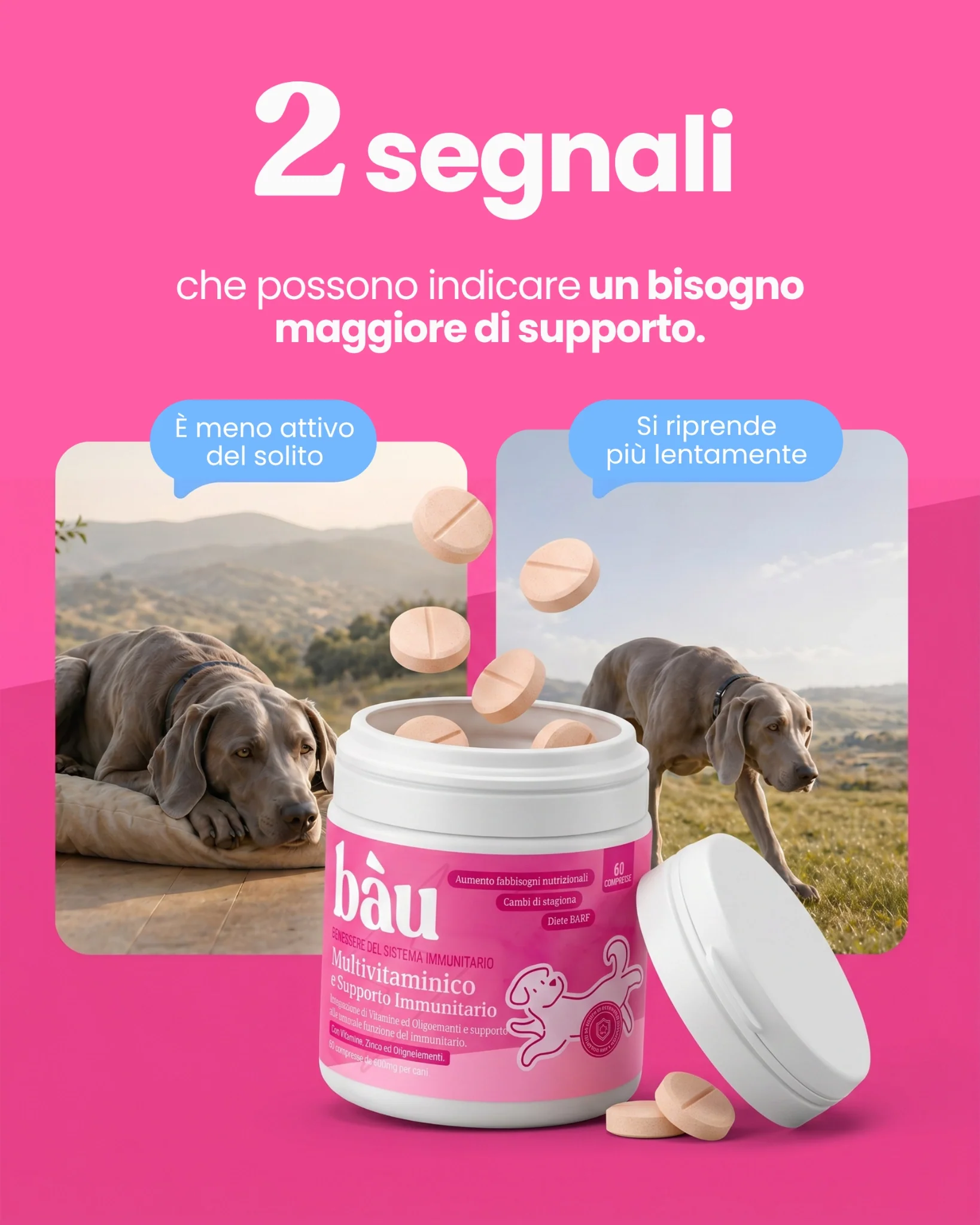Multivitaminico e Supporto Immunitario - Image 3