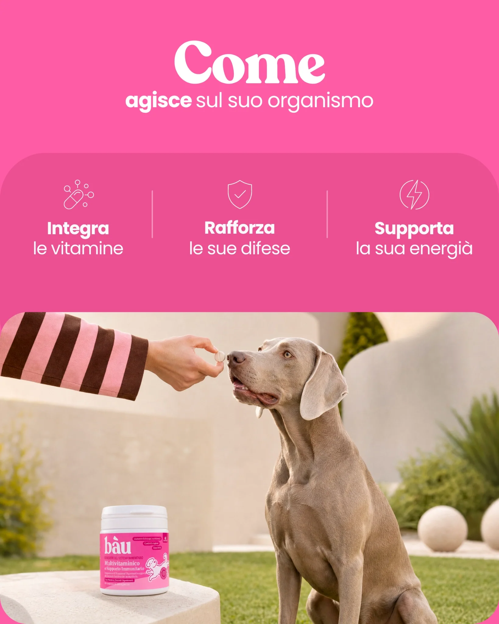 Multivitaminico e Supporto Immunitario - Image 4
