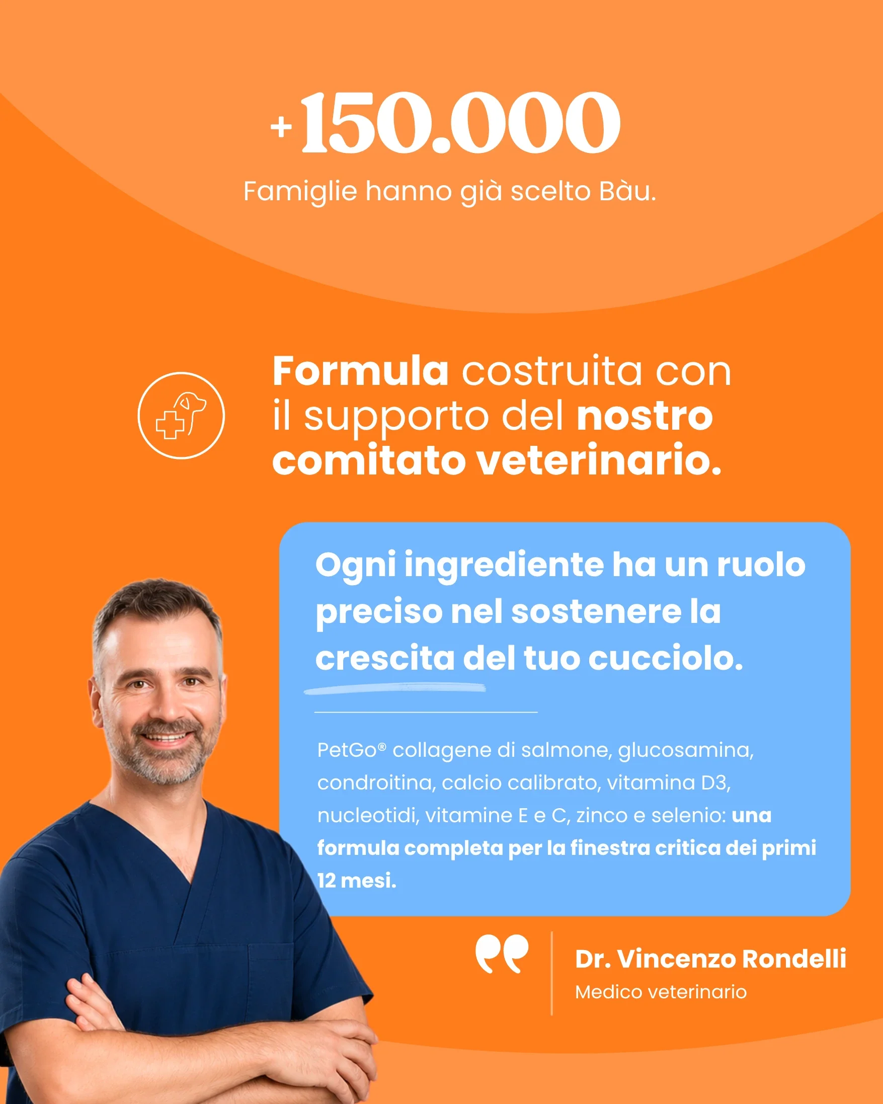 Articolazioni Cucciolo - Image 11
