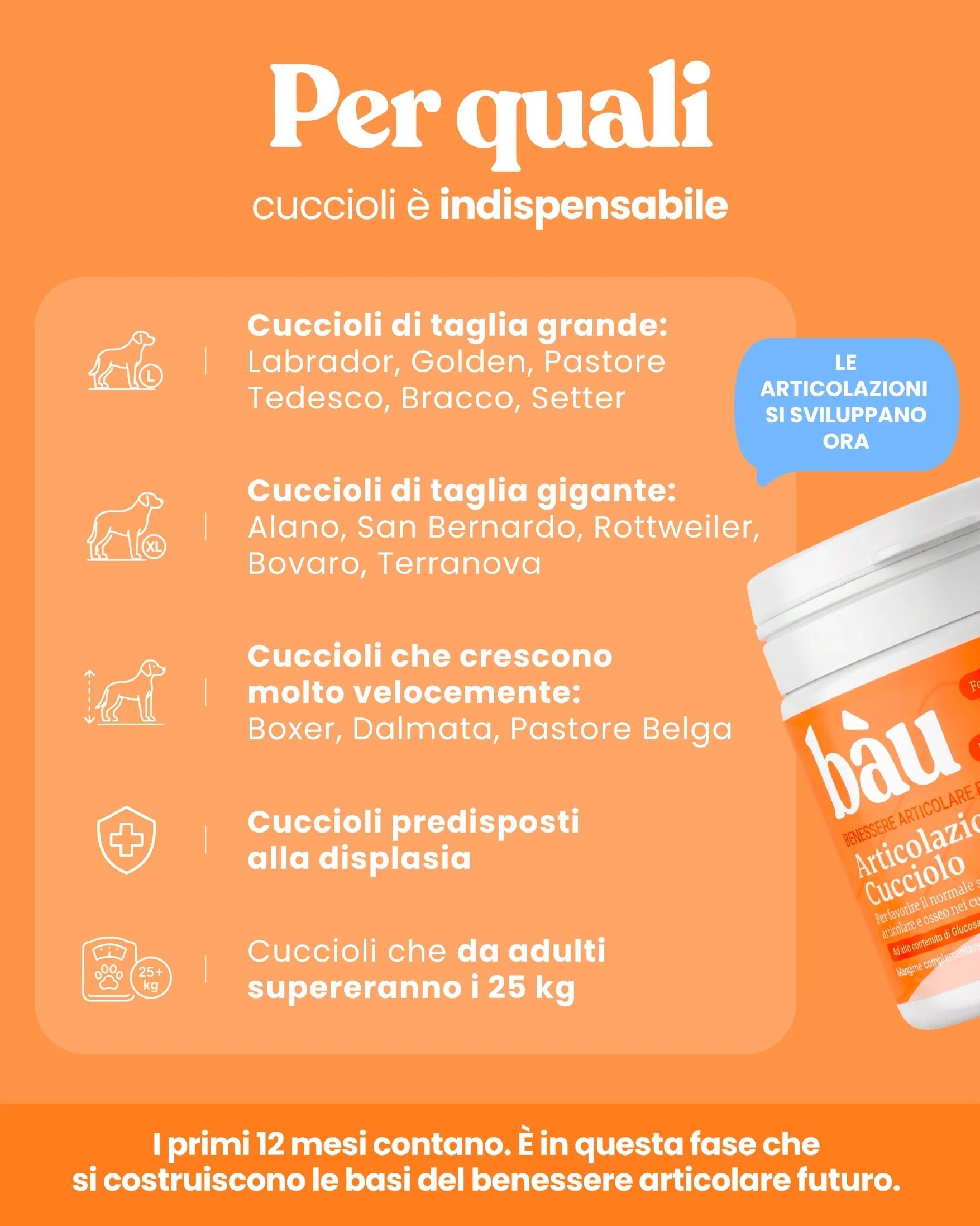 Articolazioni Cucciolo - Image 5