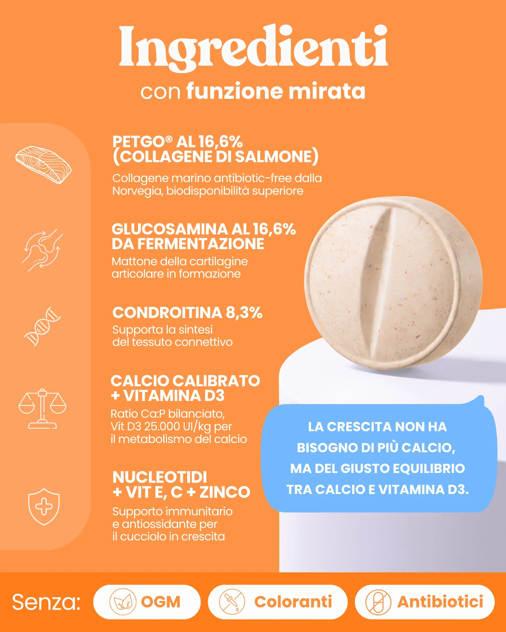 Articolazioni Cucciolo - Image 6