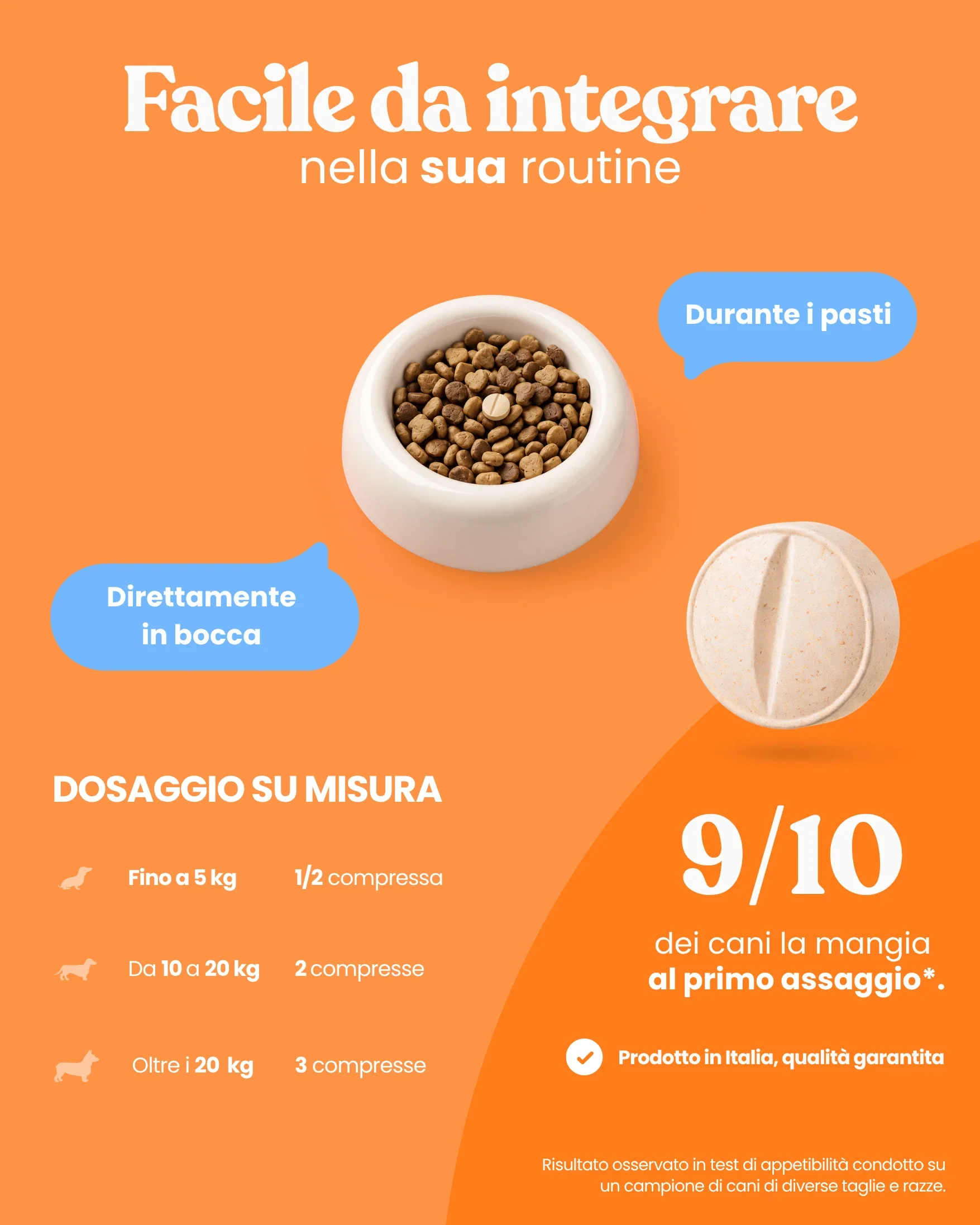 Articolazioni Cucciolo - Image 8