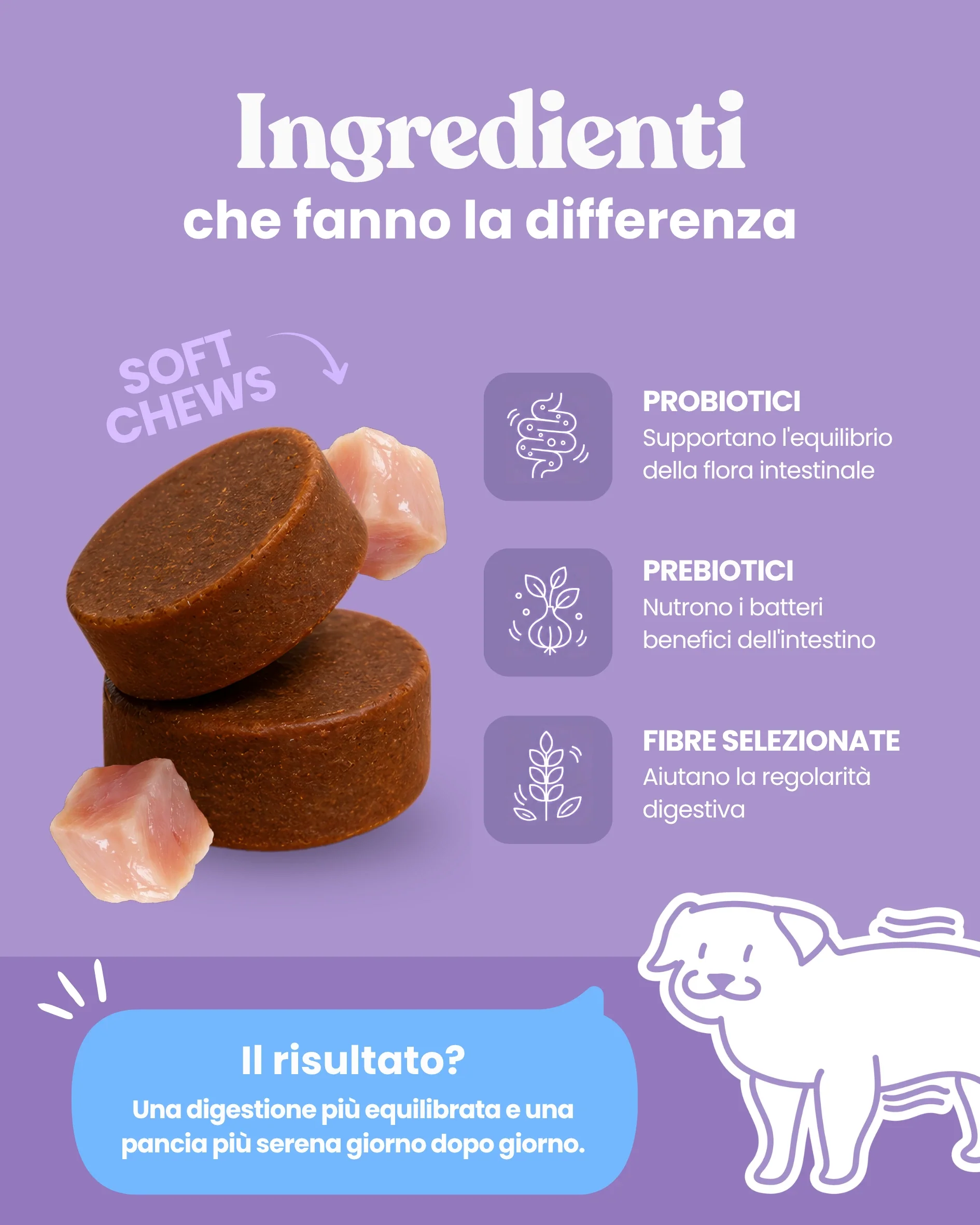 Pancia Felice - Image 3