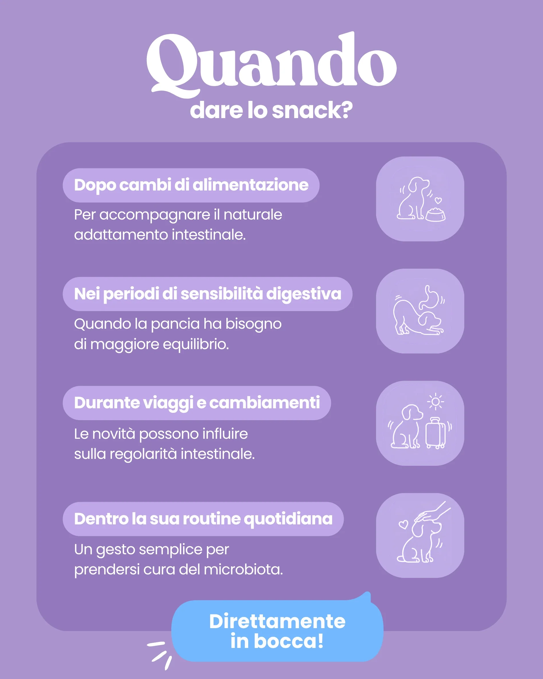 Pancia Felice - Image 4