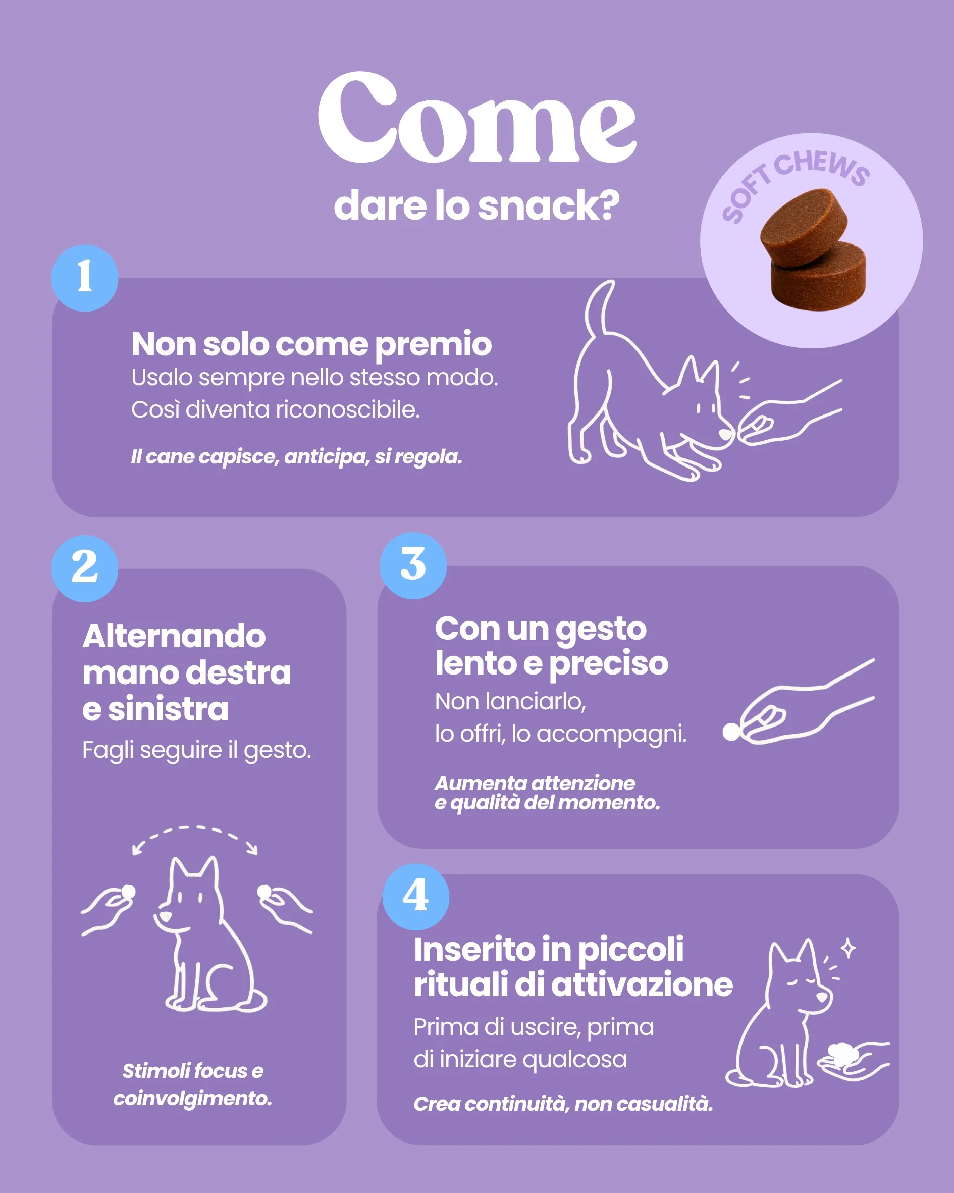 Pancia Felice - Image 5