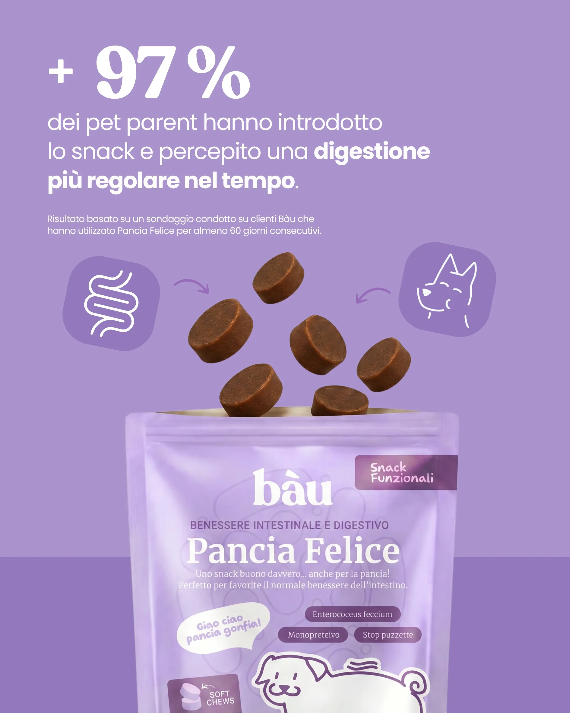 Pancia Felice - Image 6