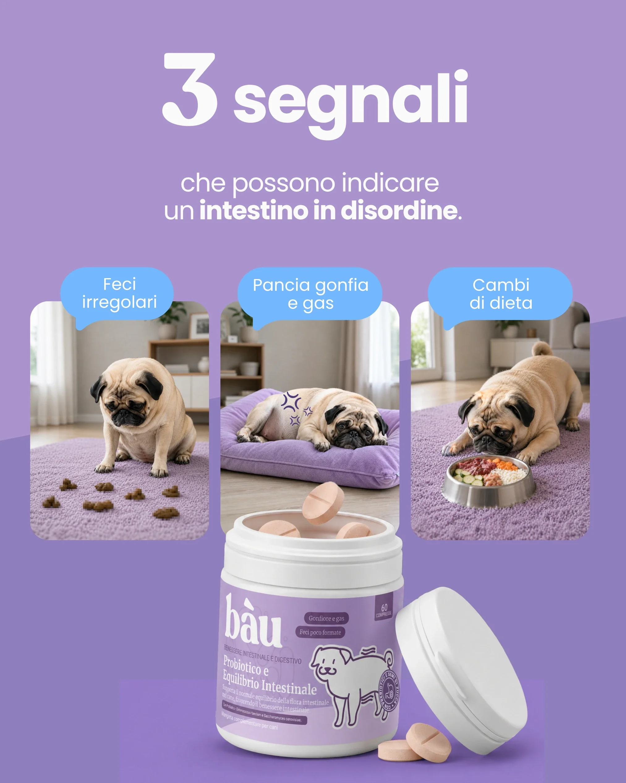 Probiotico e Equilibrio intestinale - Image 3