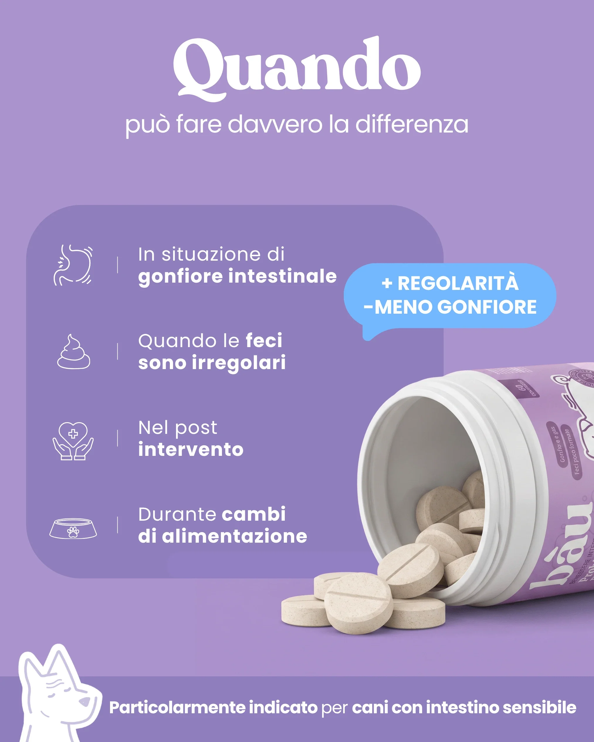 Probiotico e Equilibrio intestinale - Image 4