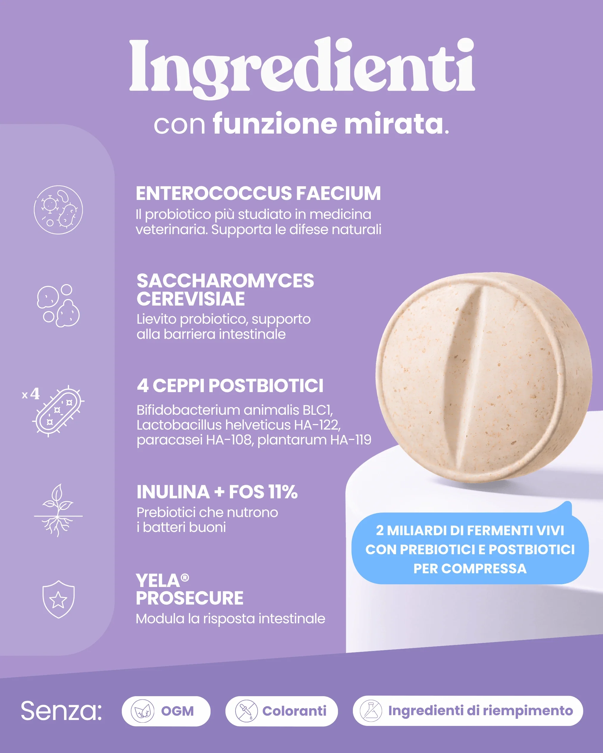 Probiotico e Equilibrio intestinale - Image 5