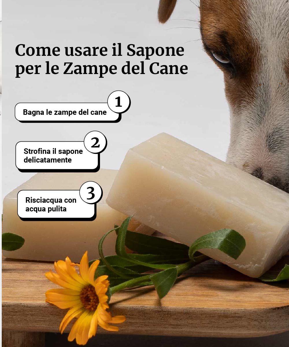 Sapone Solido per le Zampe - Image 6