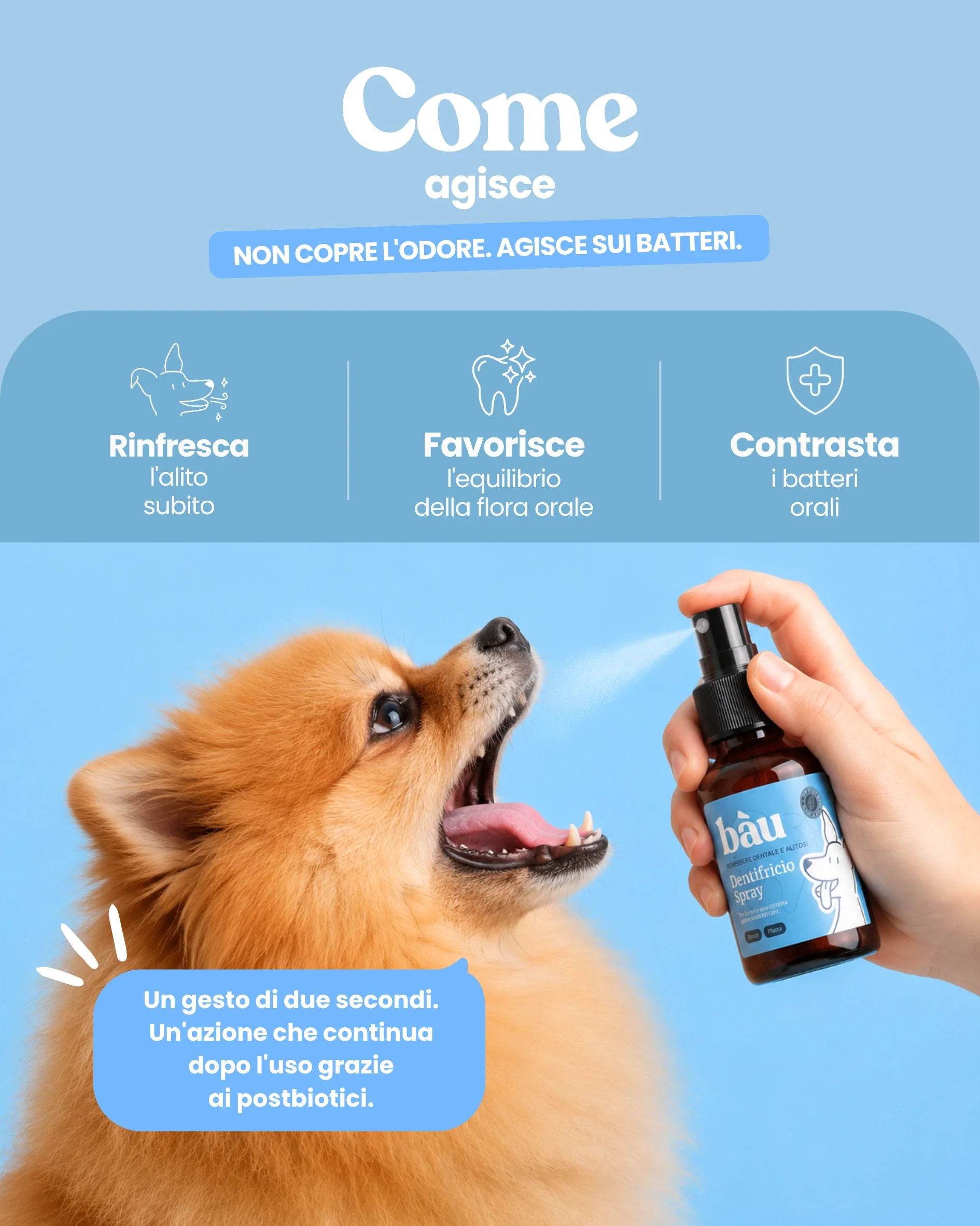 Dentifricio spray - Image 4