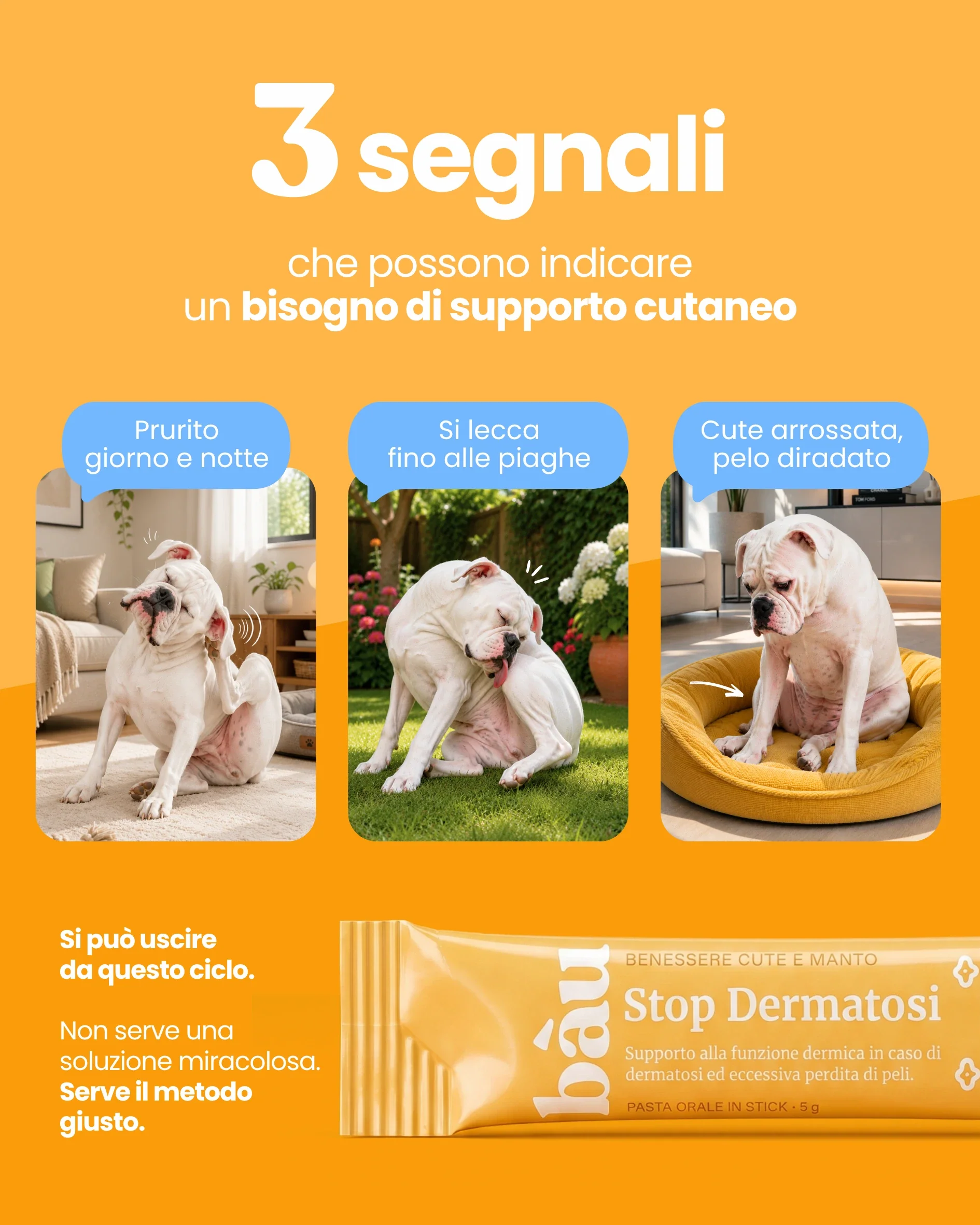 Stop Dermatosi - Image 3