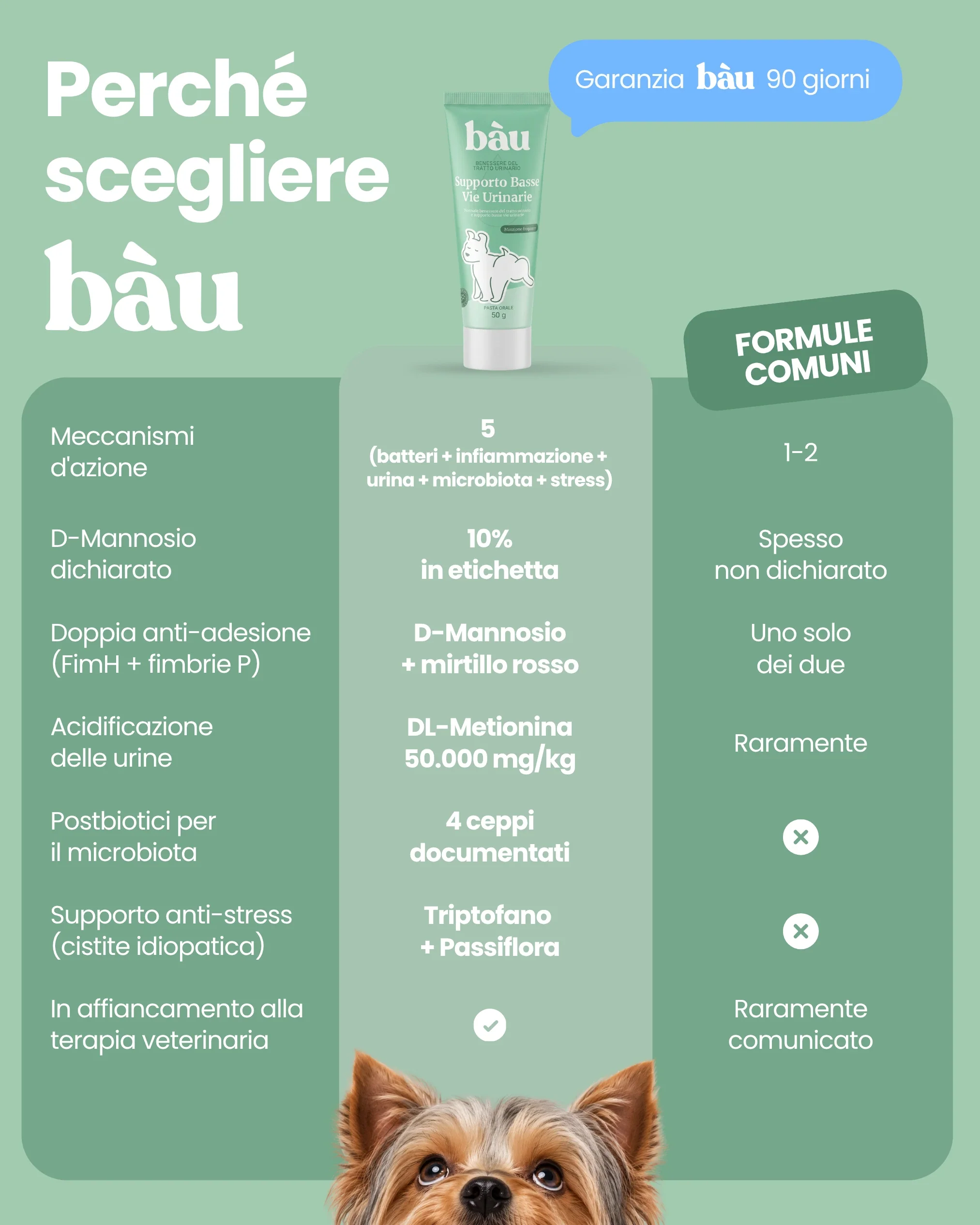 Supporto Basse Vie Urinarie - Image 10