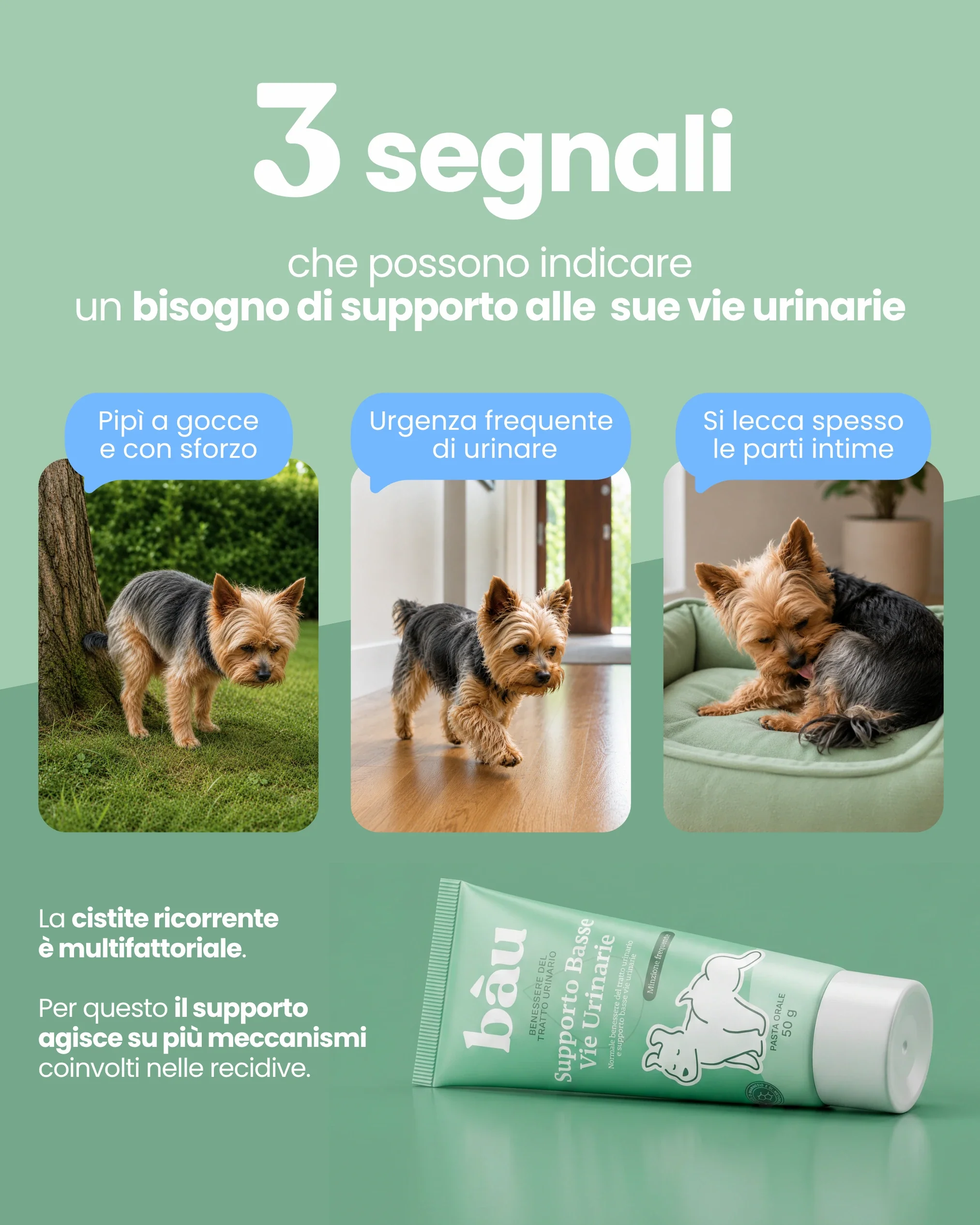 Supporto Basse Vie Urinarie - Image 3