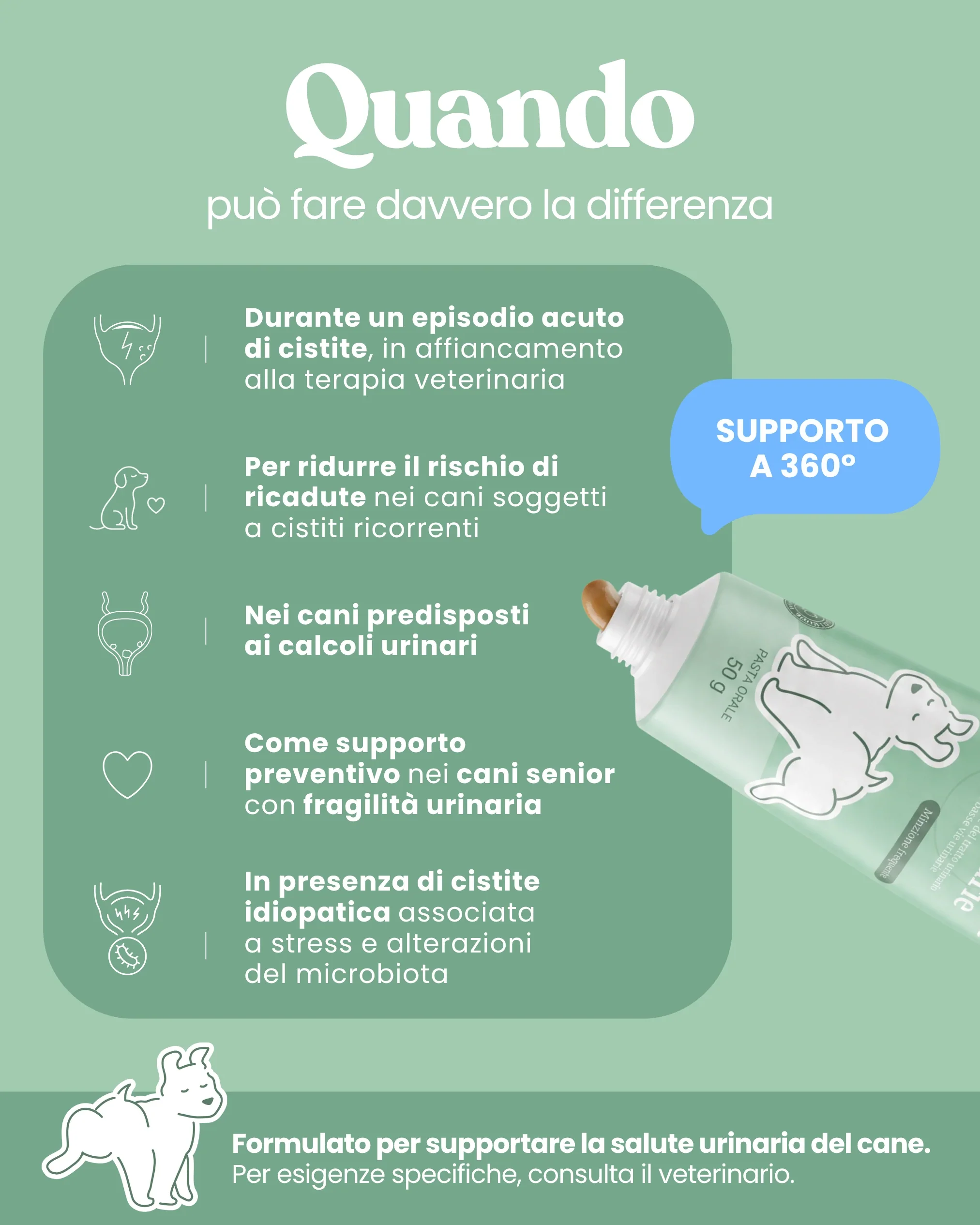 Supporto Basse Vie Urinarie - Image 5