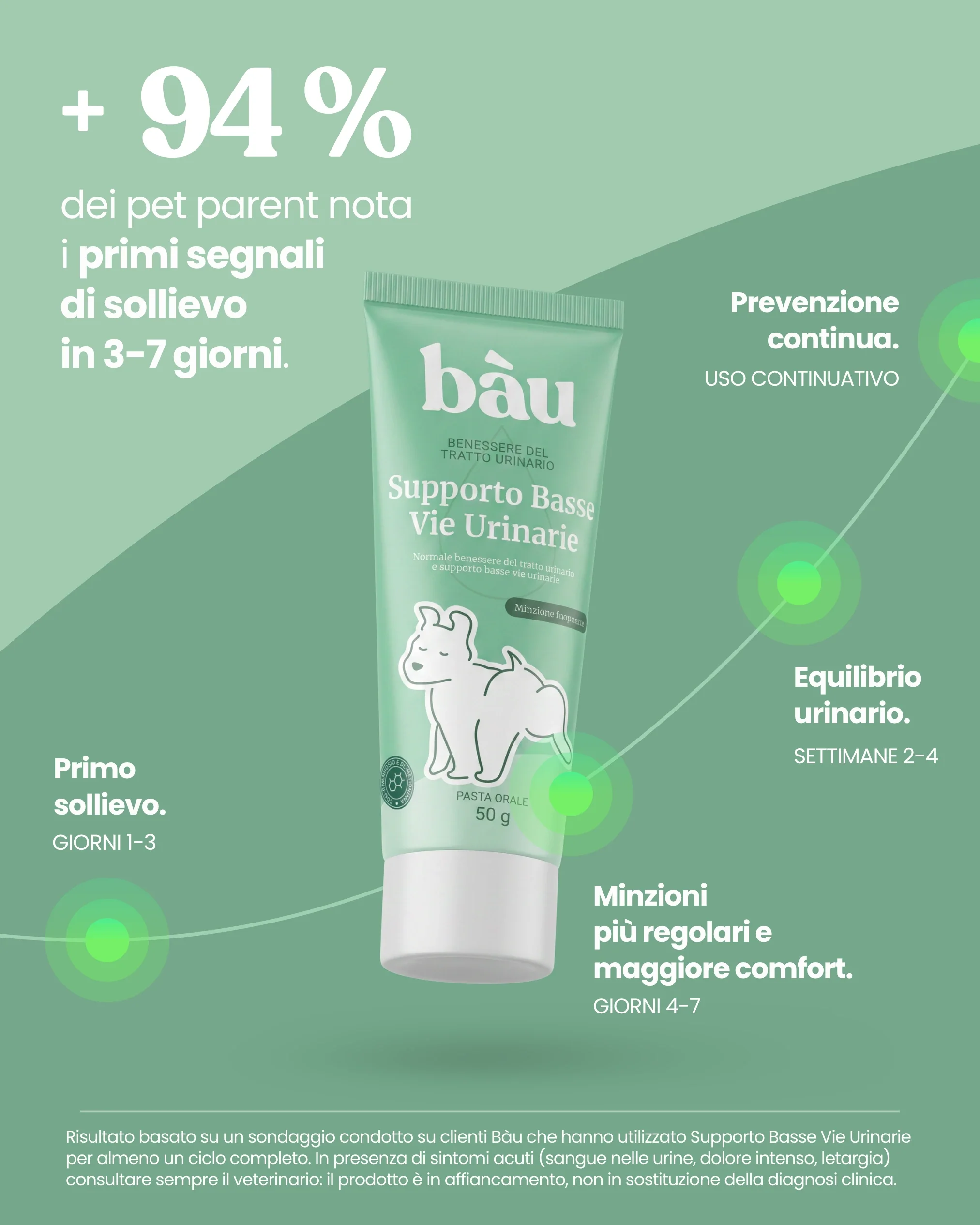 Supporto Basse Vie Urinarie - Image 7