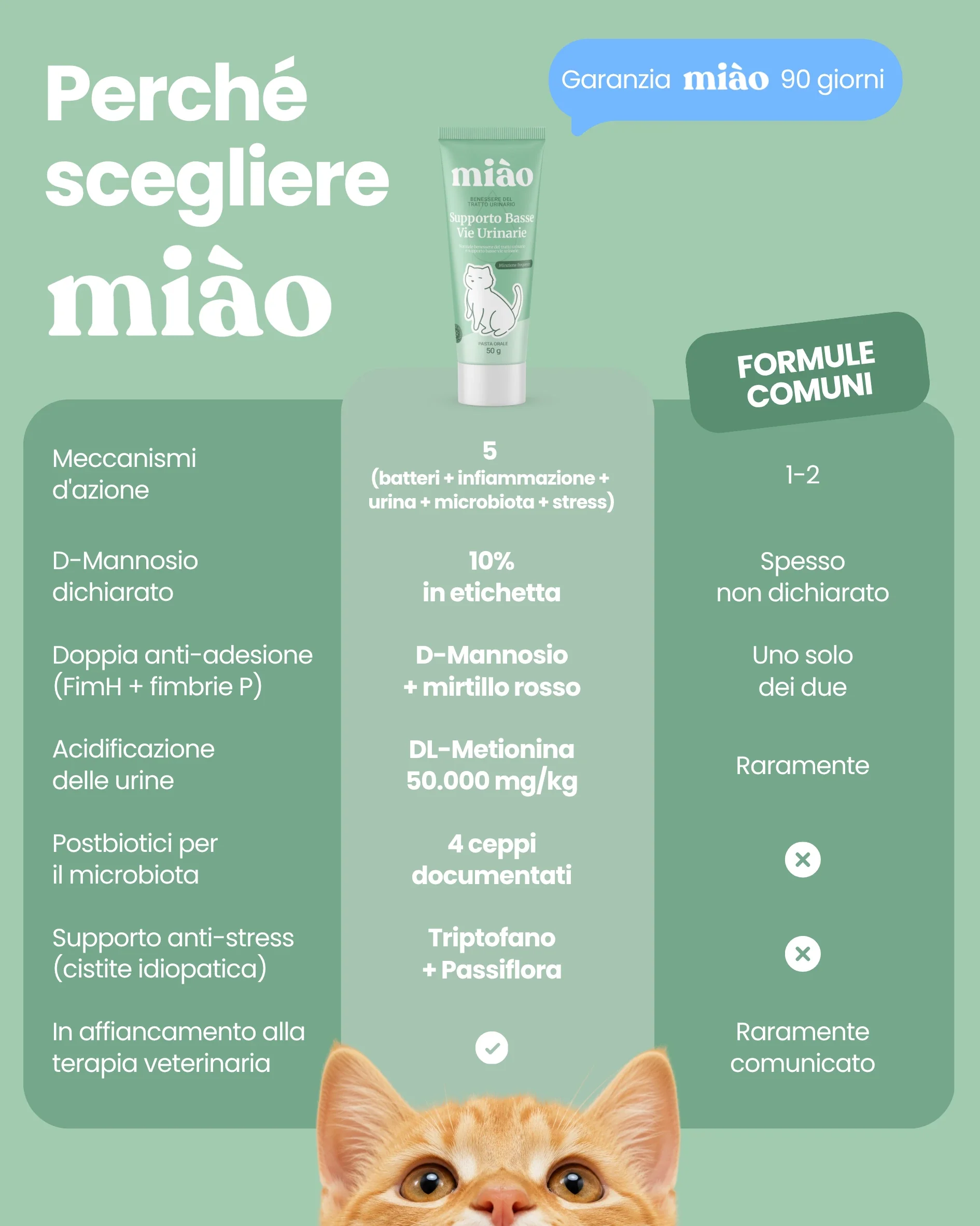 Supporto Basse Vie Urinarie - Image 10