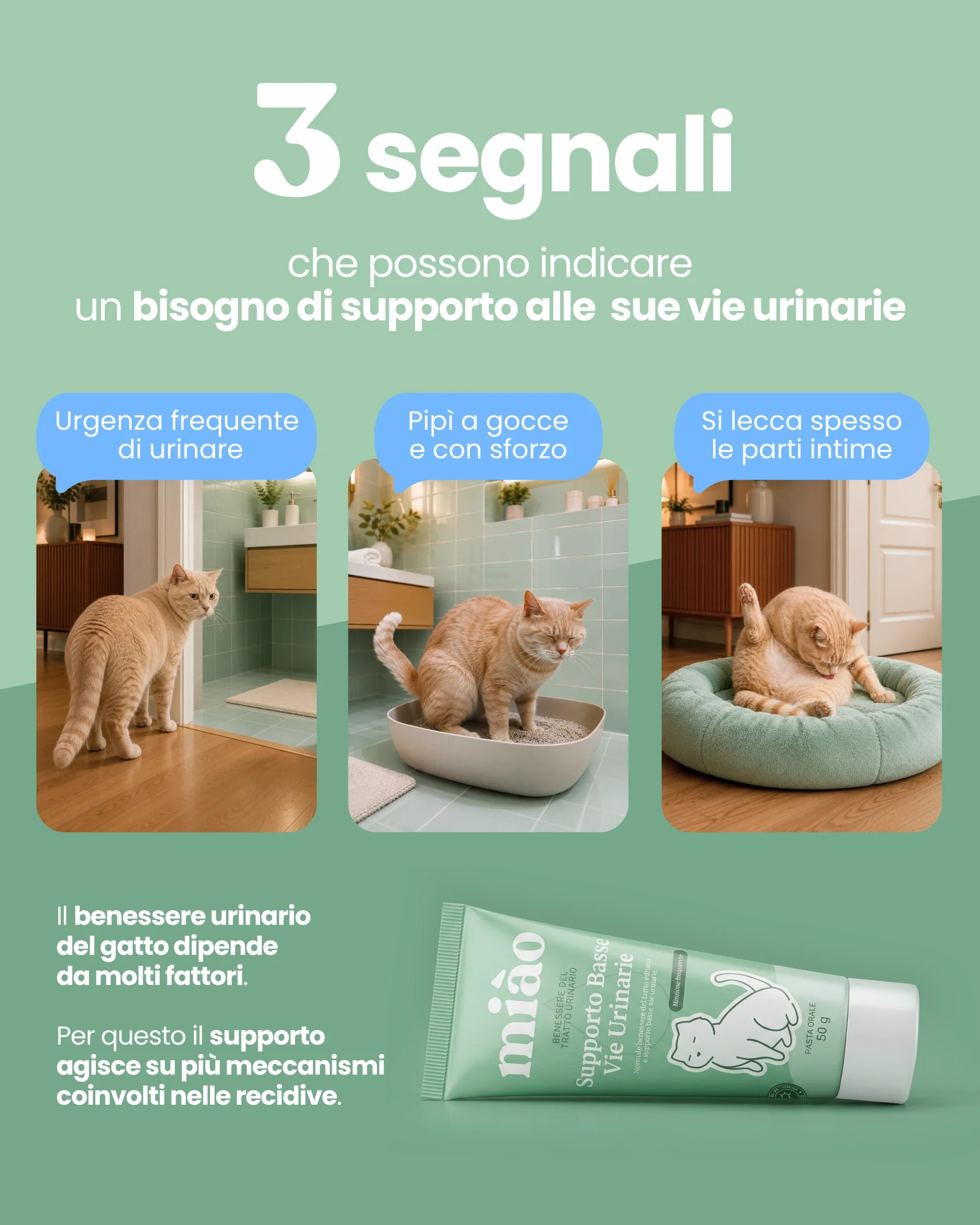 Supporto Basse Vie Urinarie - Image 3