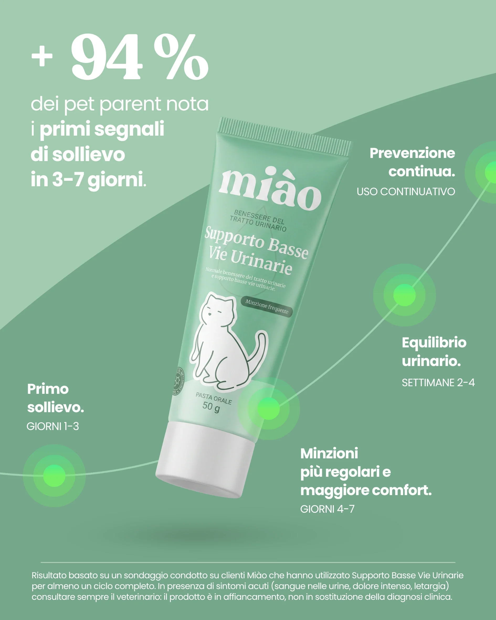Supporto Basse Vie Urinarie - Image 7