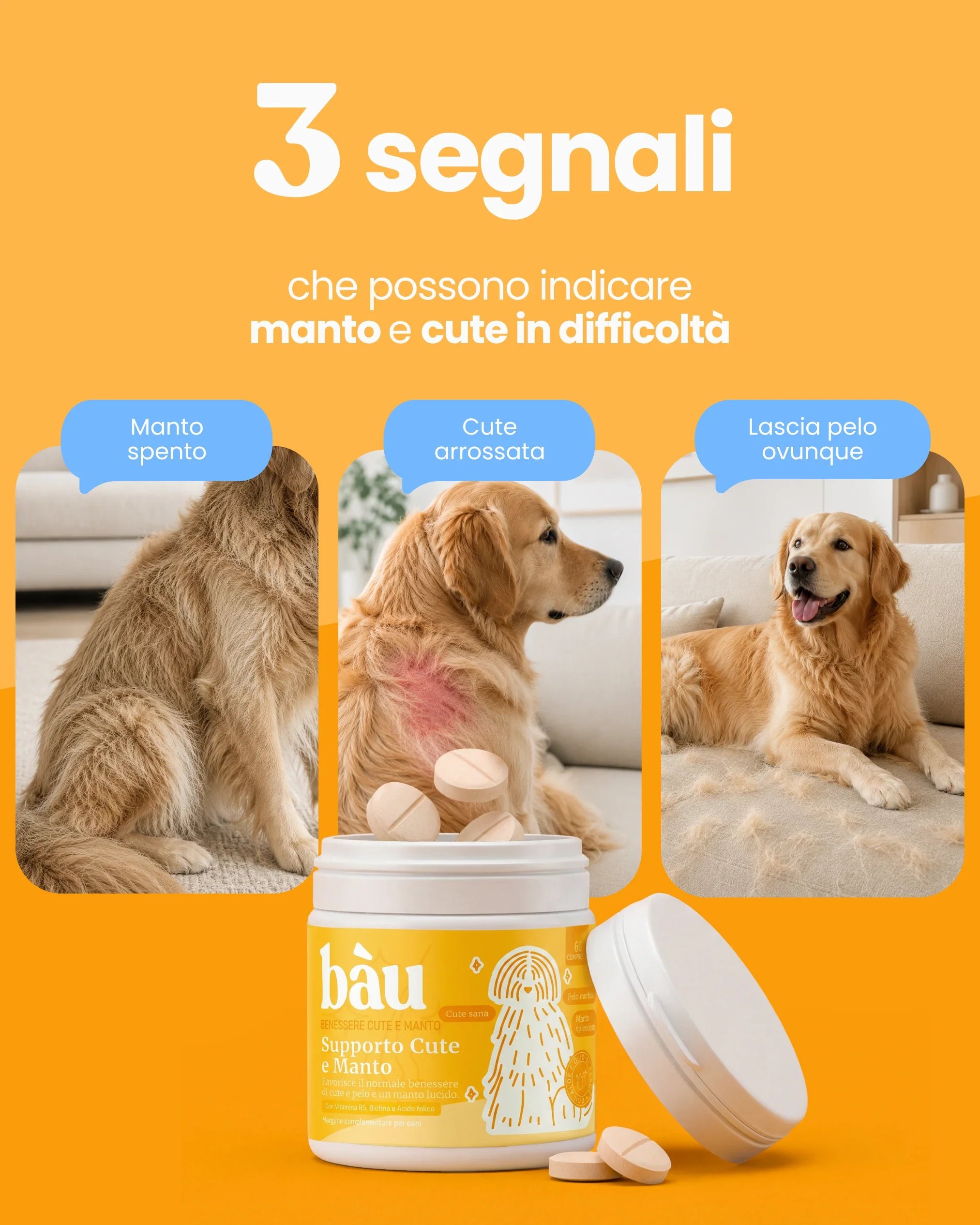 Supporto Cute e Manto - Image 3
