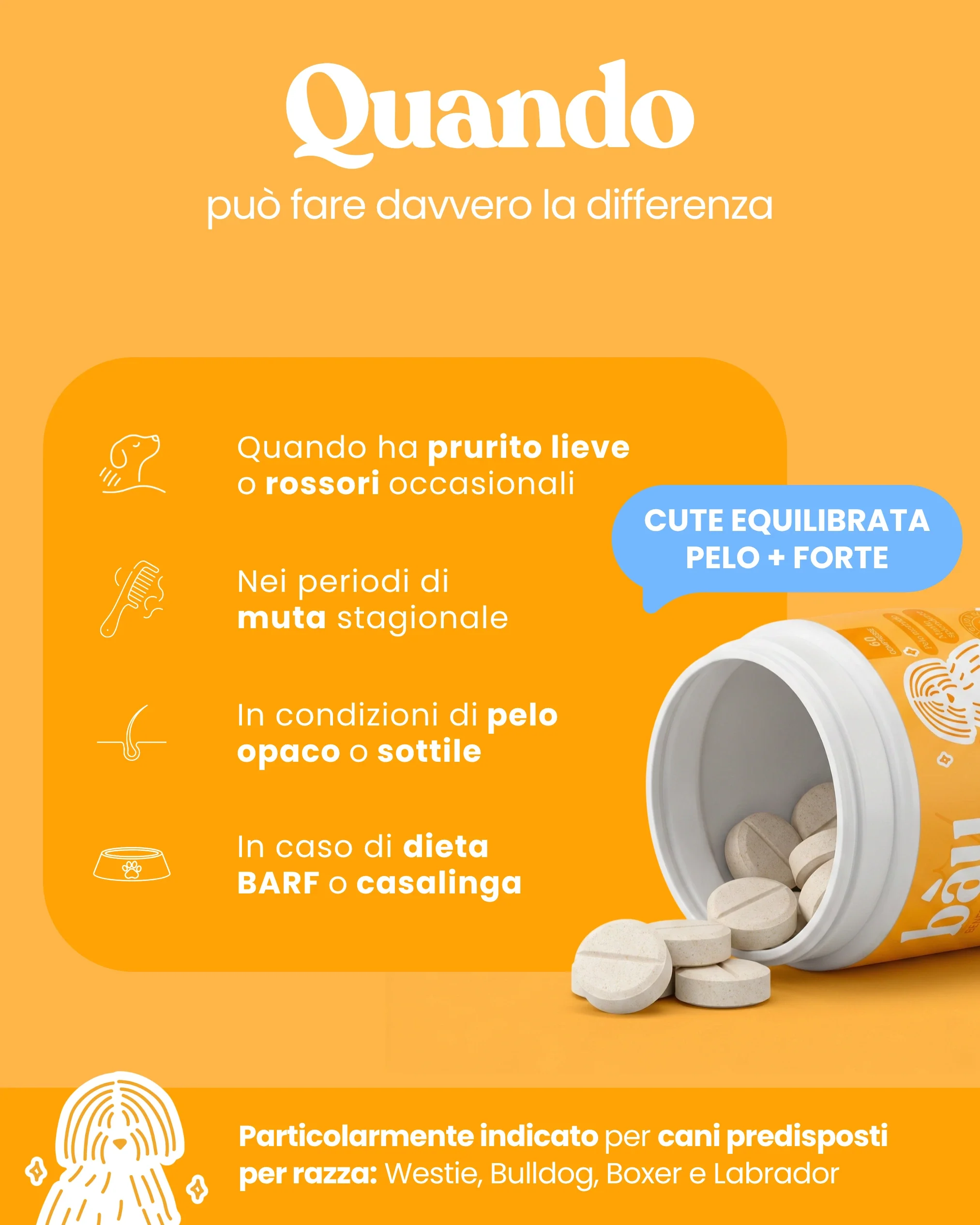 Supporto Cute e Manto - Image 5