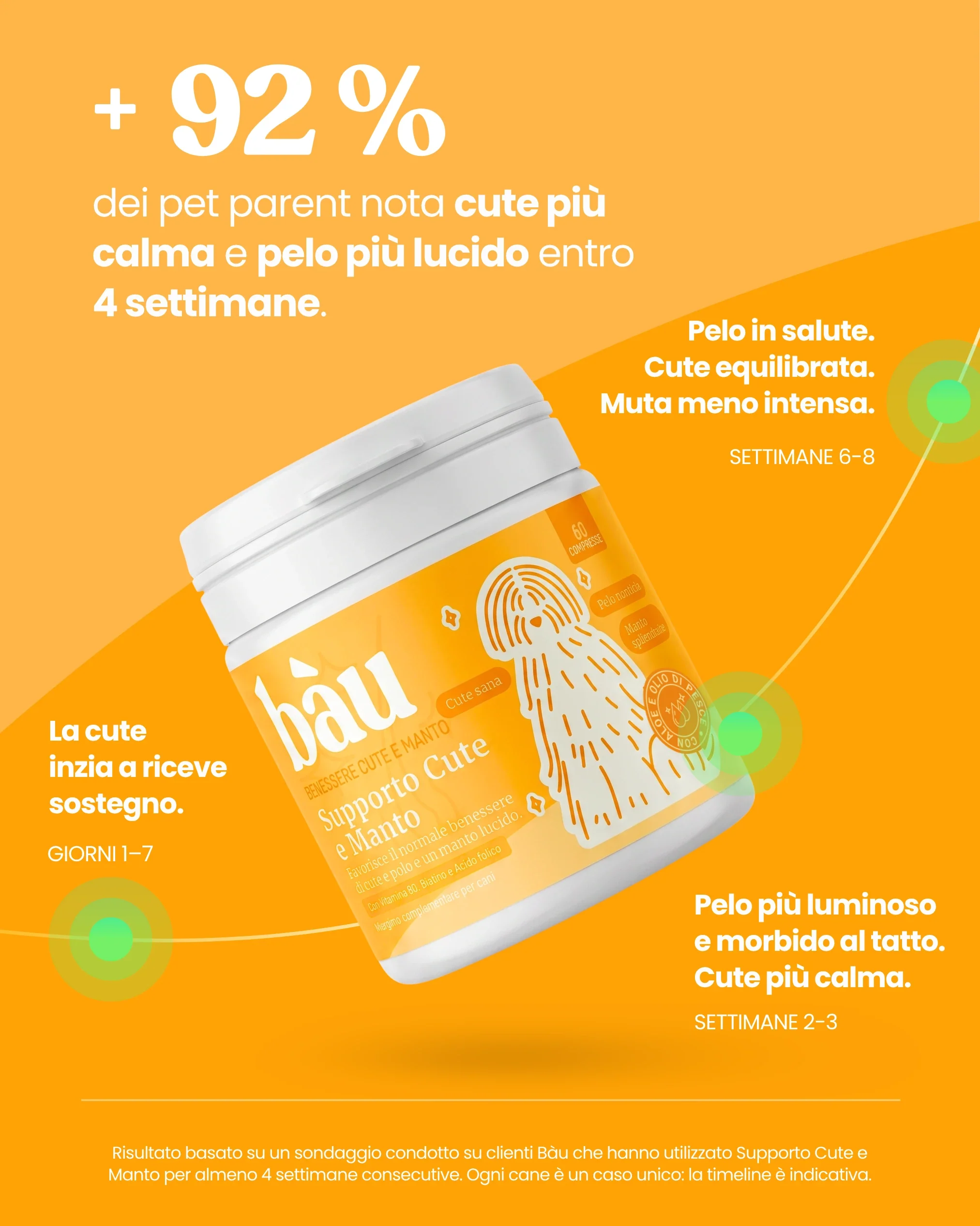 Supporto Cute e Manto - Image 6