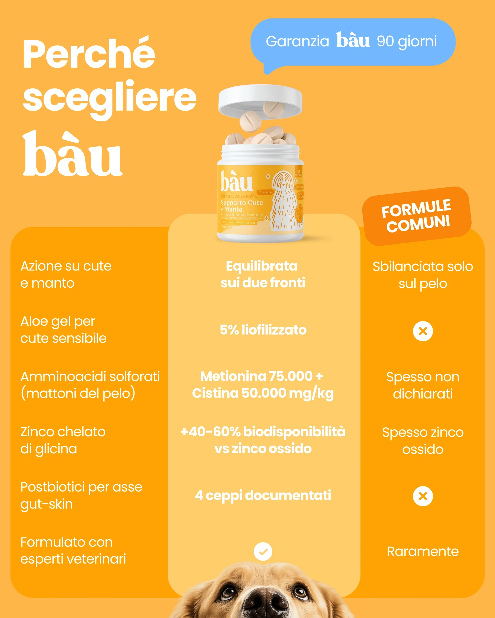 Supporto Cute e Manto - Image 9