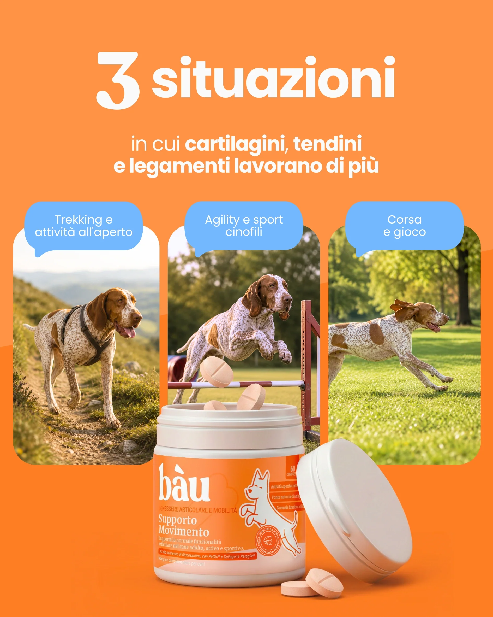 Supporto Movimento - Image 3