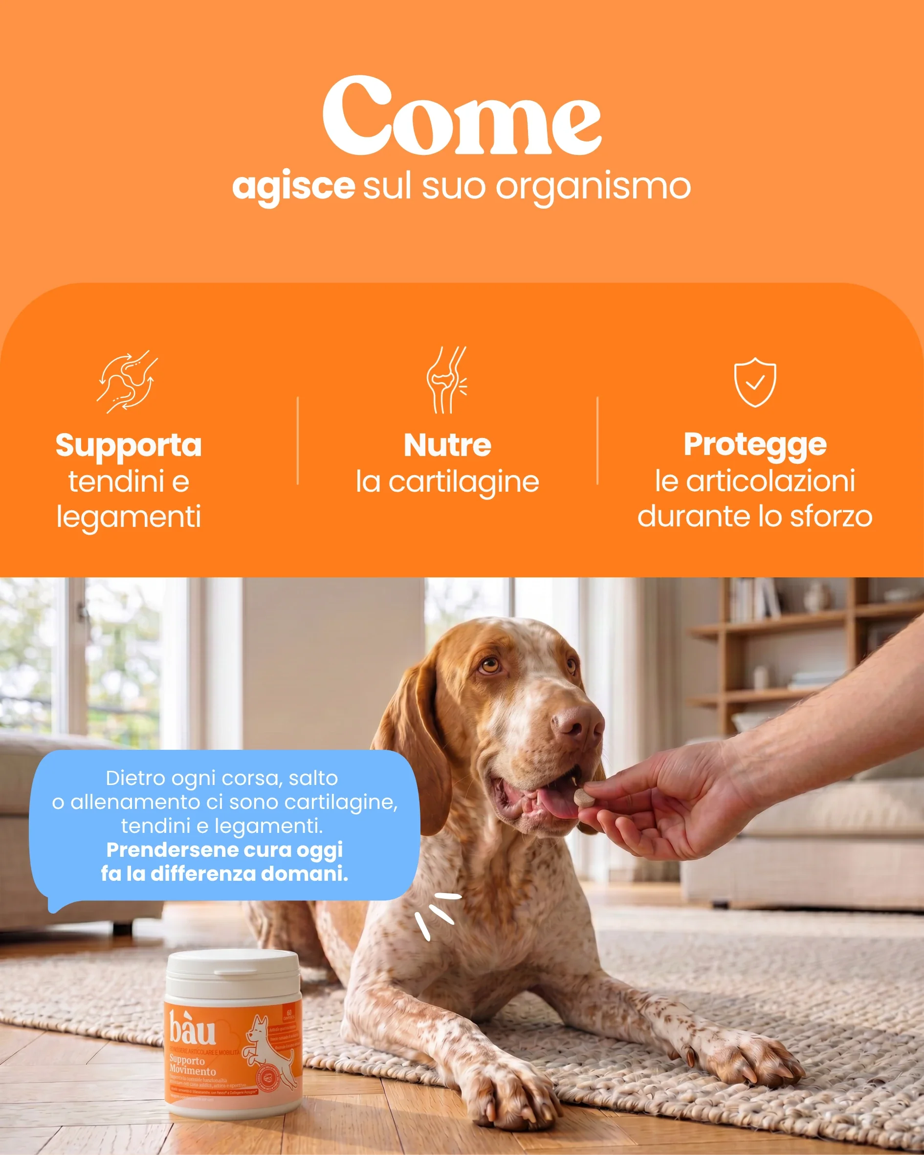 Supporto Movimento - Image 4