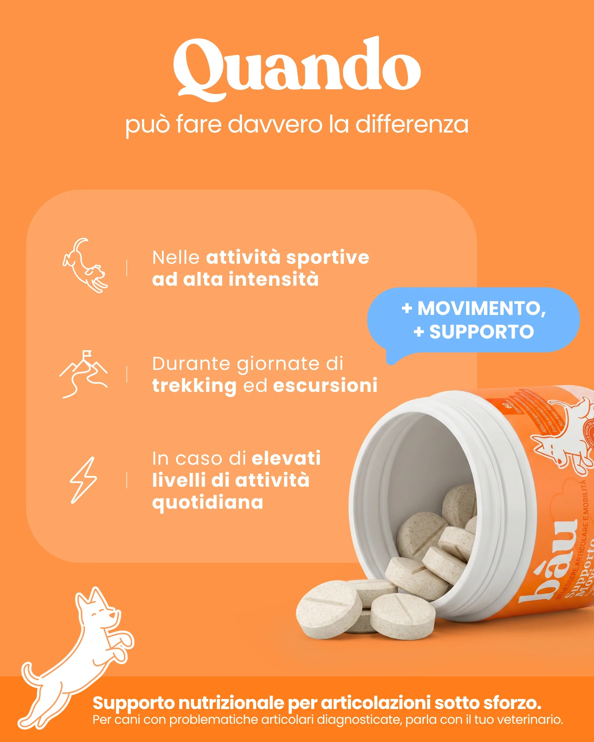 Supporto Movimento - Image 5