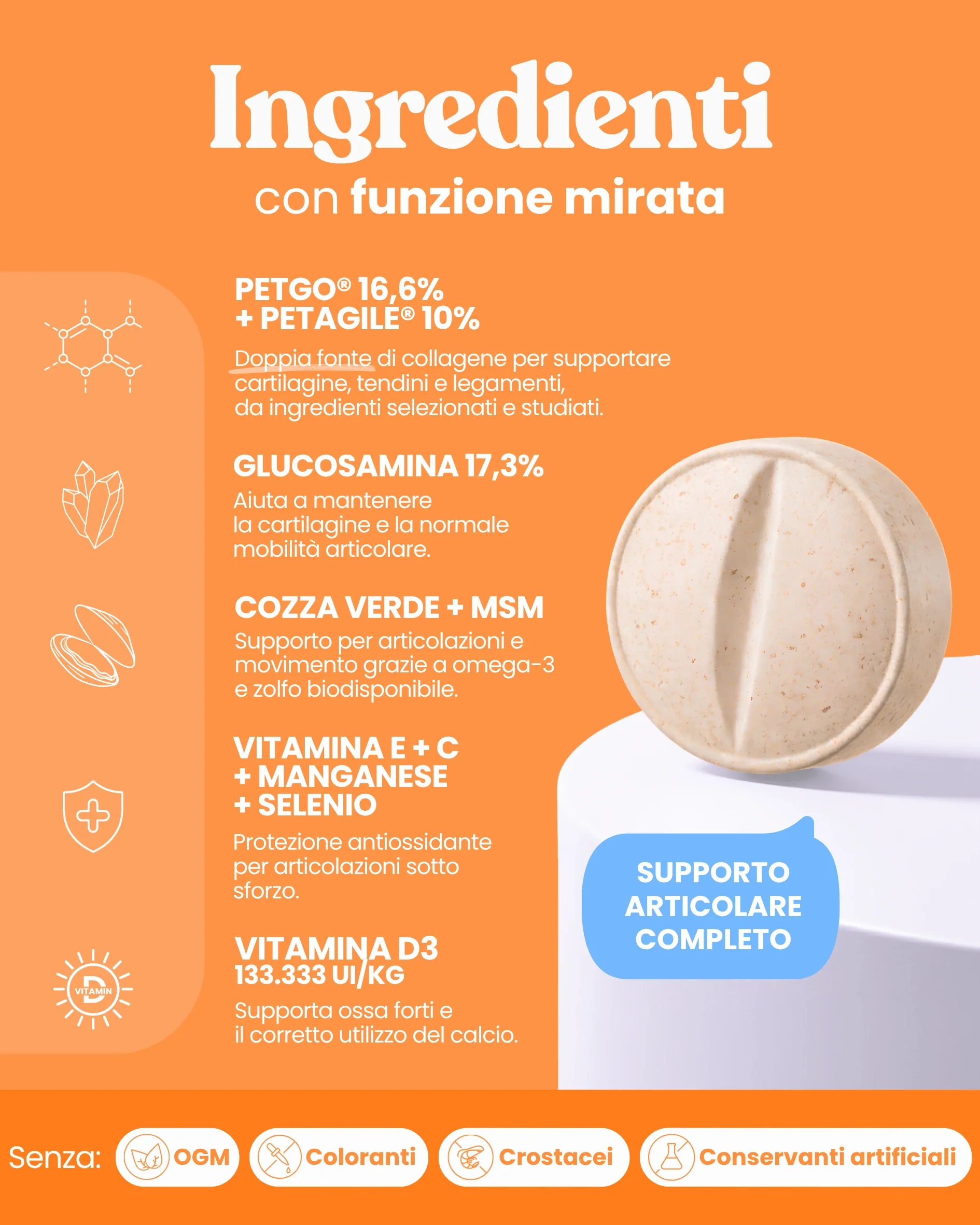 Supporto Movimento - Image 6